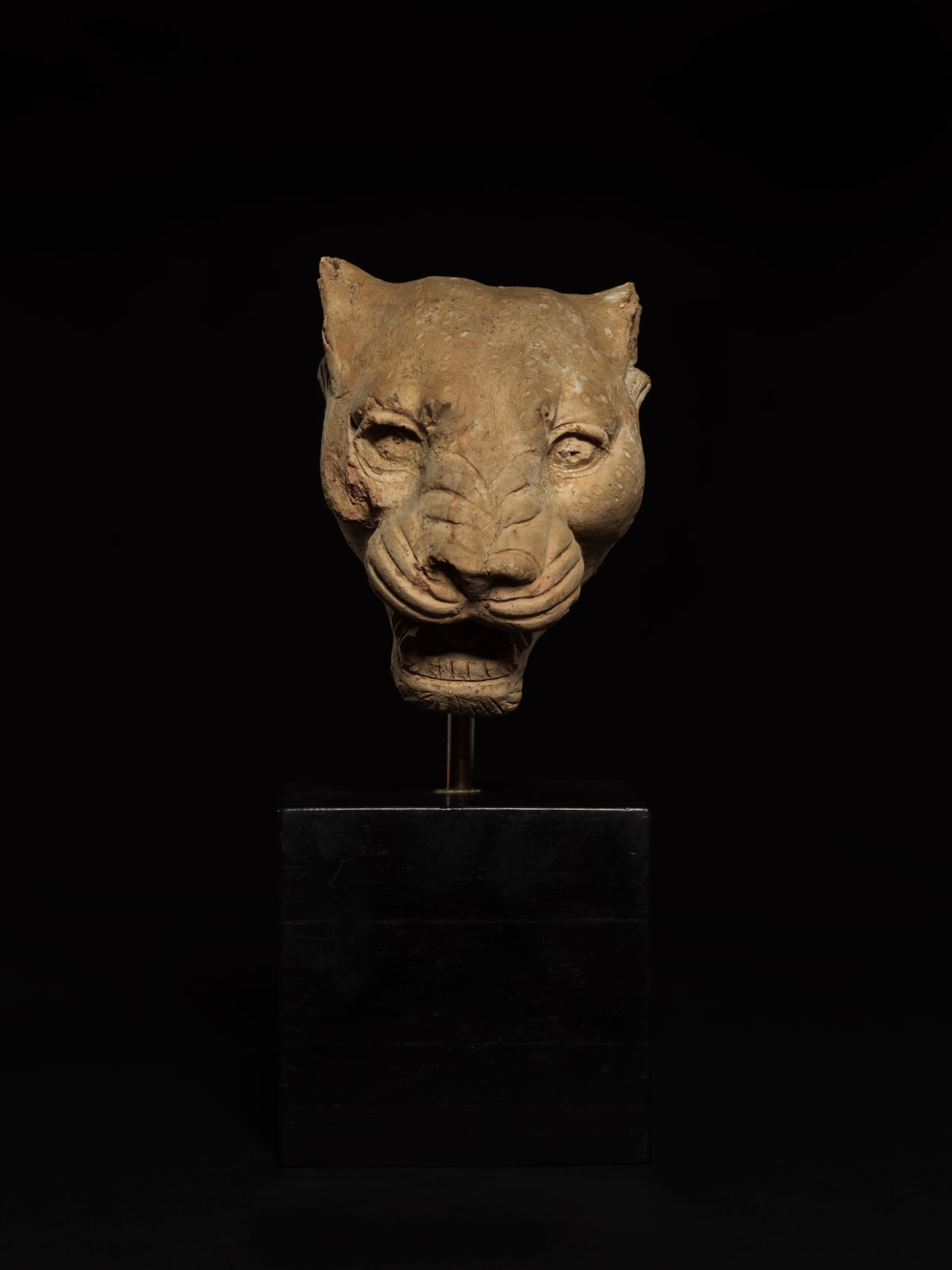 SOUTH ITALIAN GREEK, Fragmentary Head of a Panther, South Italian Greek, c. late 5th century BC