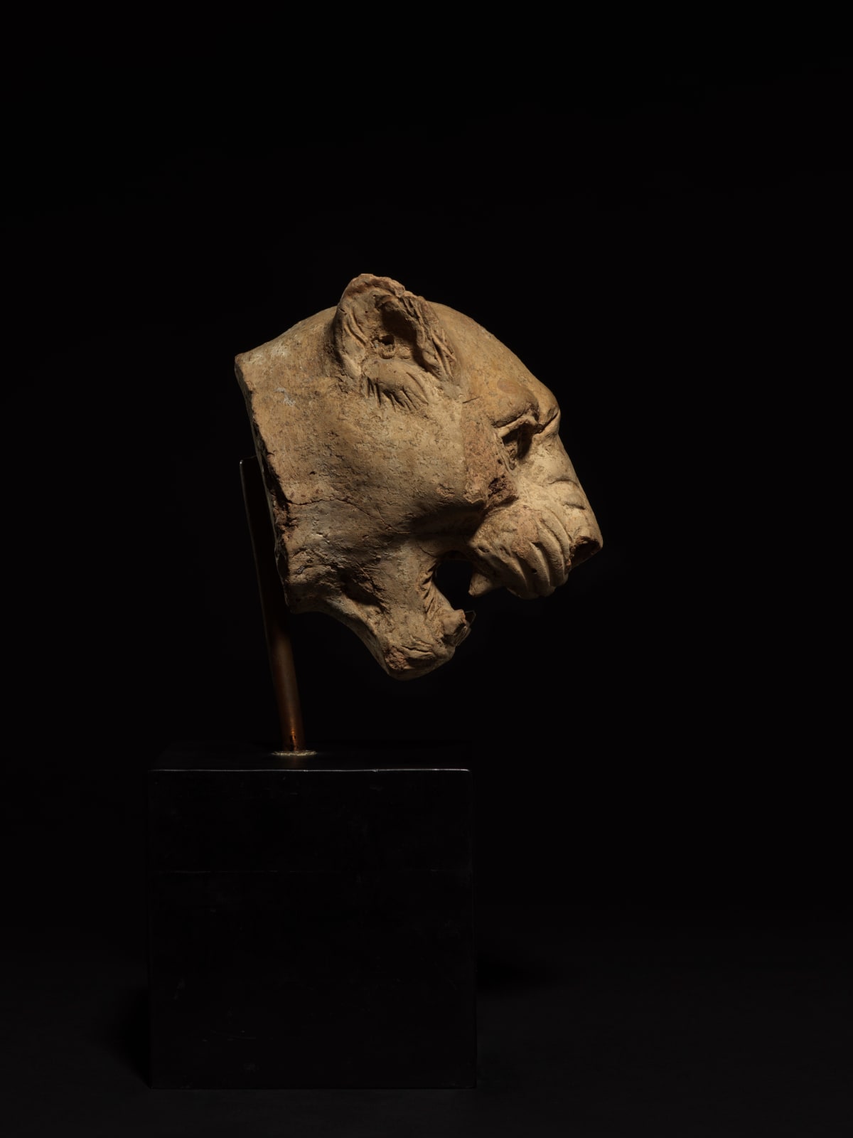 SOUTH ITALIAN GREEK, Fragmentary Head of a Panther, South Italian Greek, c. late 5th century BC
