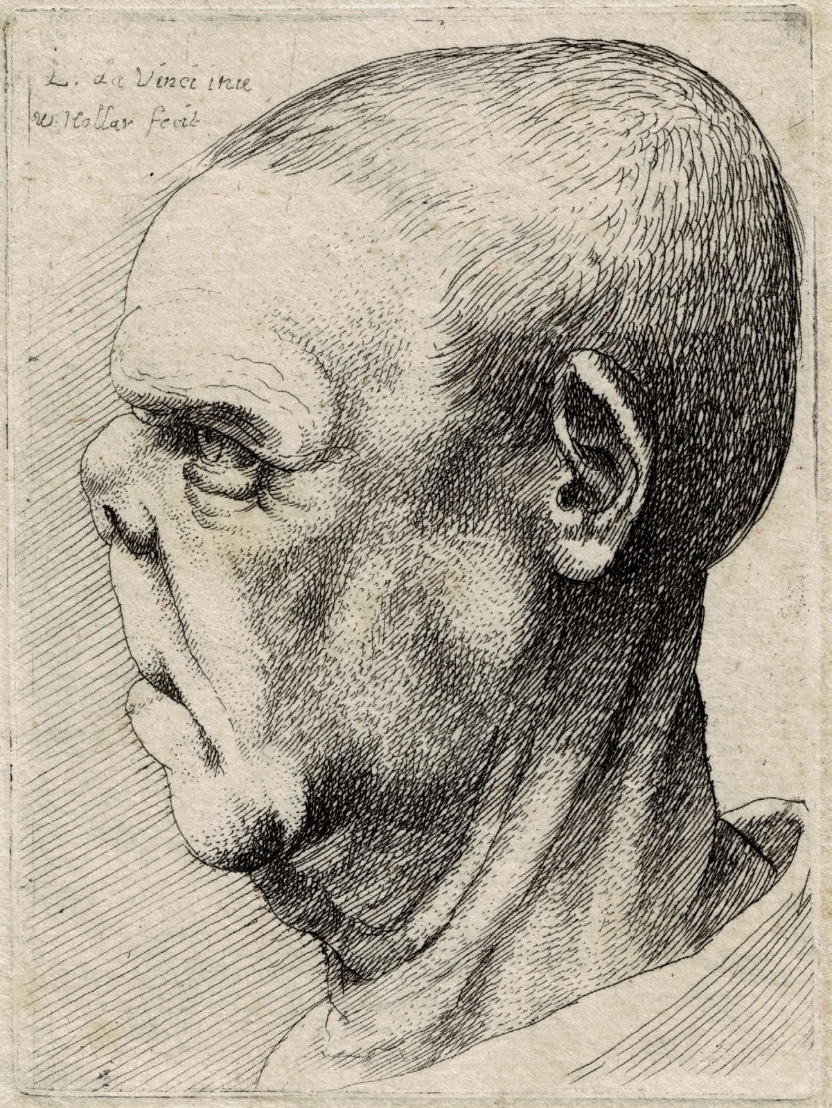 WENCESLAUS HOLLAR, after LEONARDO DA VINCI, Grotesque profile, c. 1644 – 1652