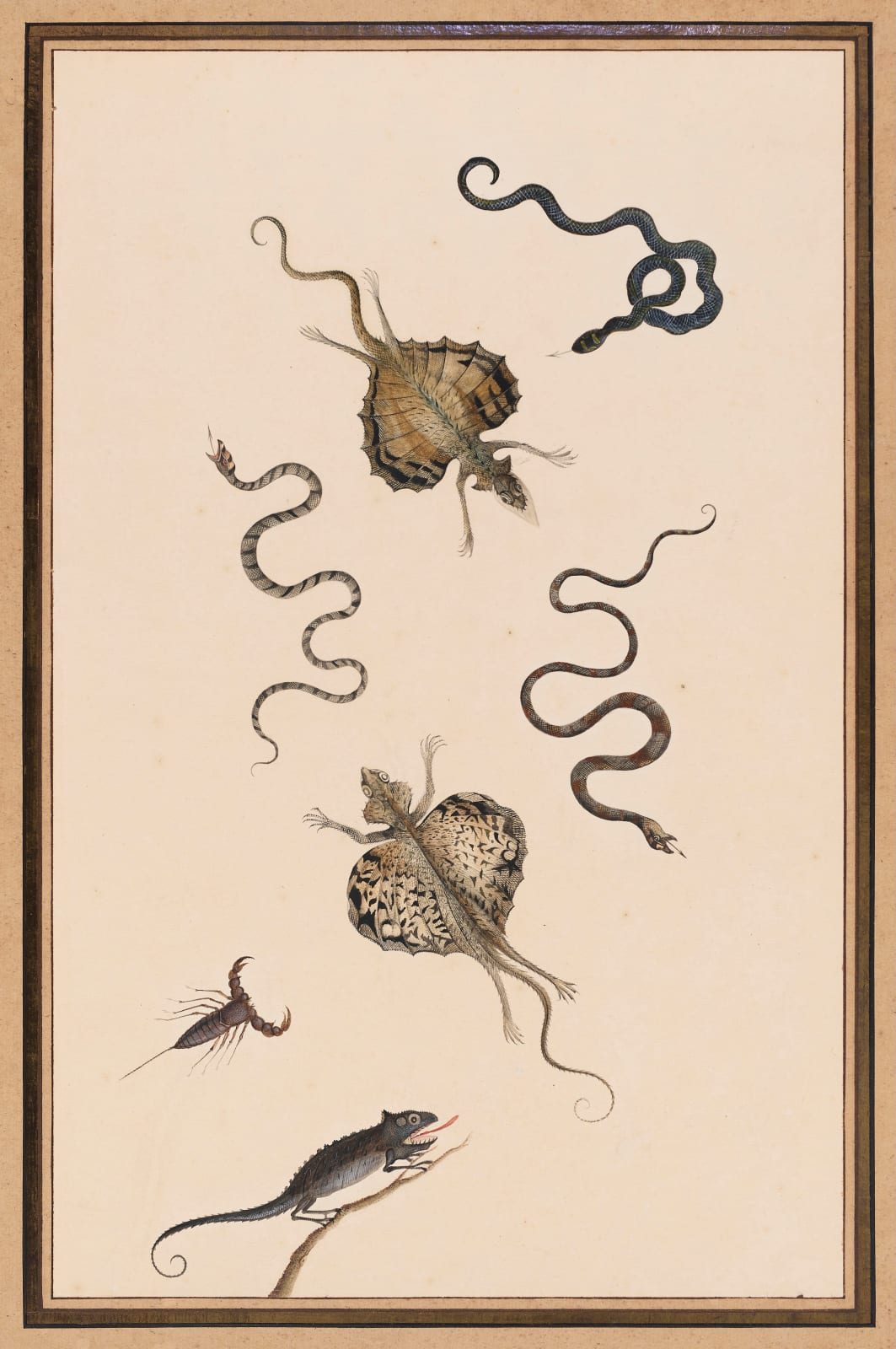 NICOLAAS STRUYCK, Flying lizards, snakes, a scorpion and a chameleon, ca. 1719