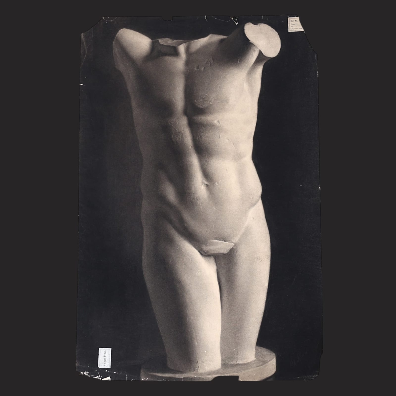E. Bergh, Study of a plaster cast of an antique torso, 1894