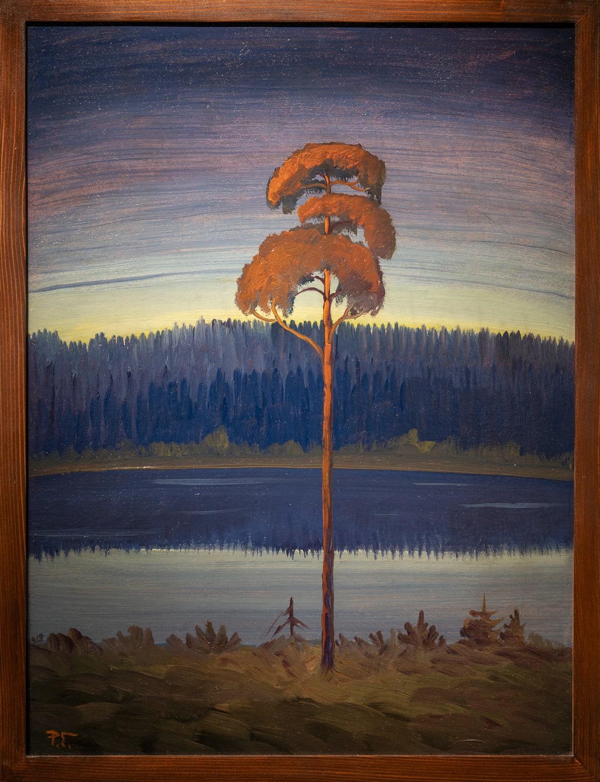 PER TELLANDER, Lake, forest, and tree