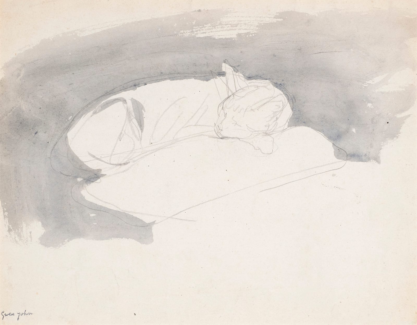 GWEN JOHN, Sleeping Cat , 1905-08