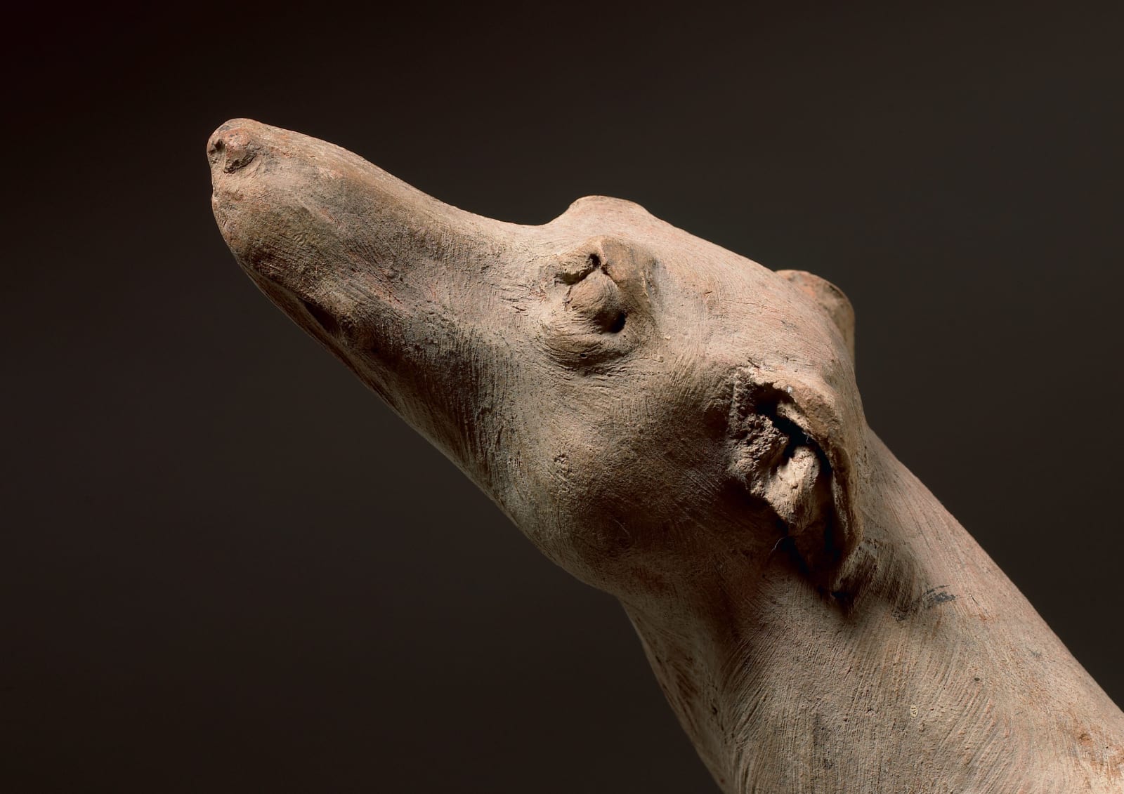 JEAN-ANTOINE HOUDON, Greyhound (Levrier), Early 19th Century