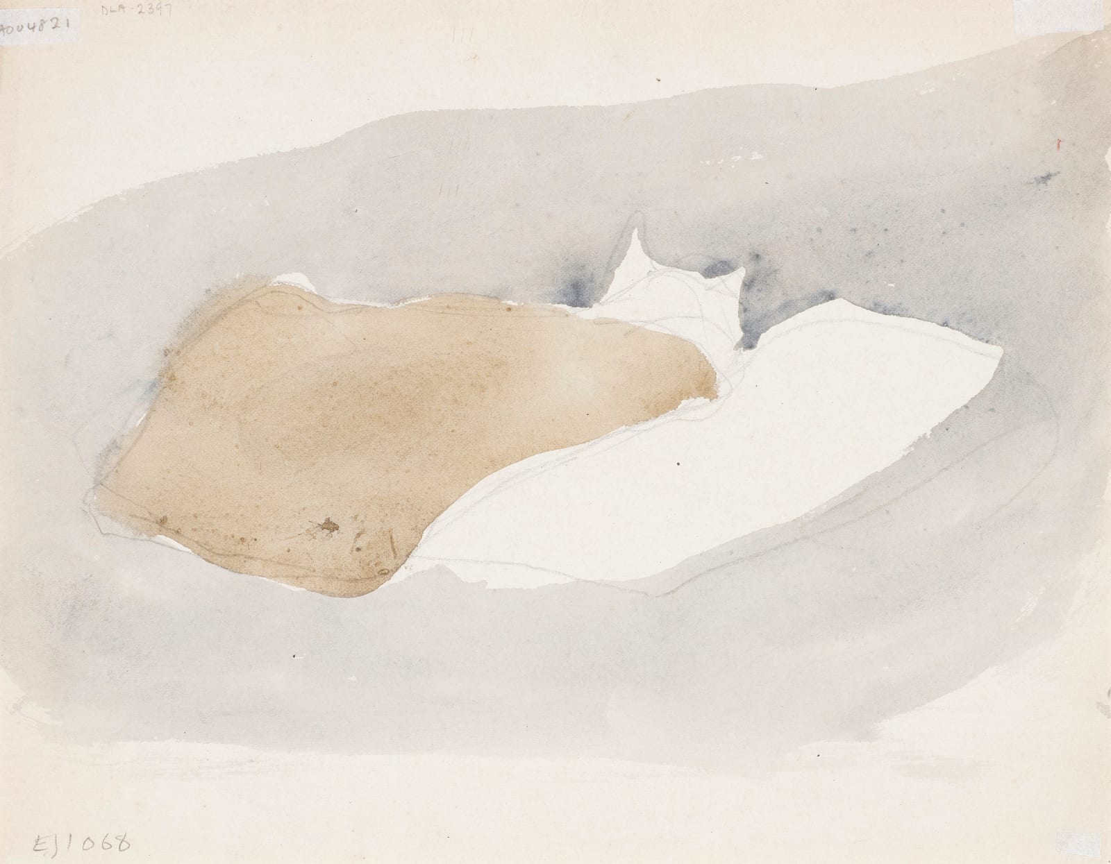 GWEN JOHN, Sleeping Cat , 1905-08