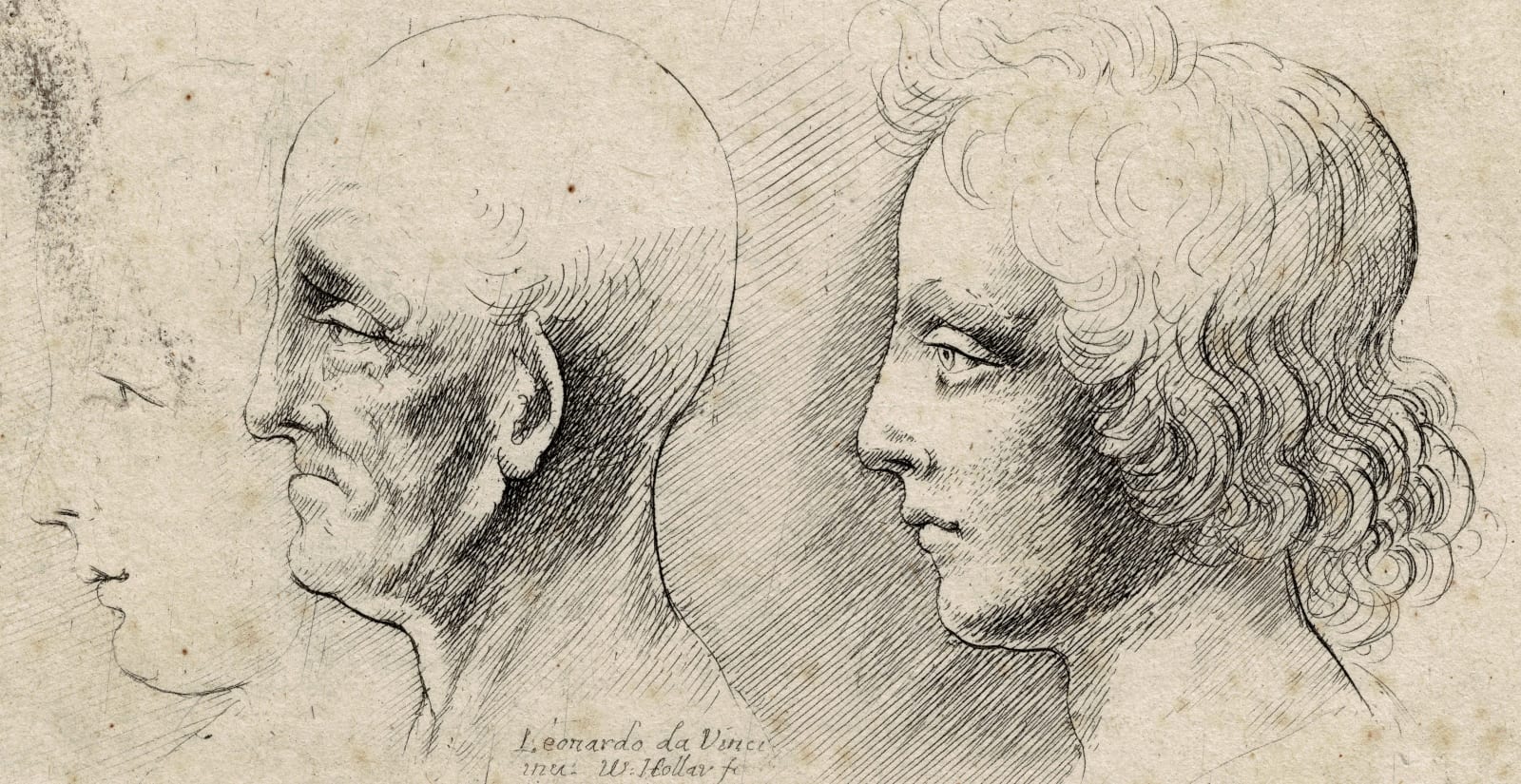 WENCESLAUS HOLLAR, after LEONARDO DA VINCI, Three heads in profile , c. 1644 – 1652
