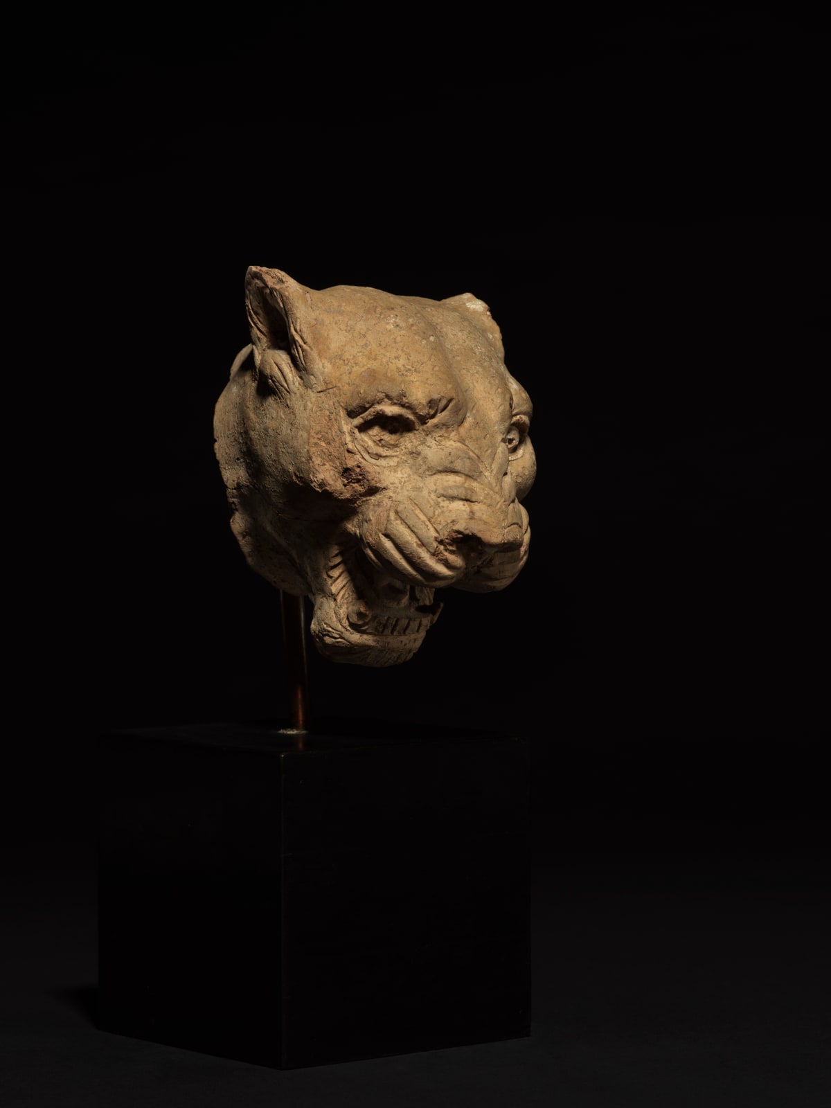 SOUTH ITALIAN GREEK, Fragmentary Head of a Panther, South Italian Greek, c. late 5th century BC