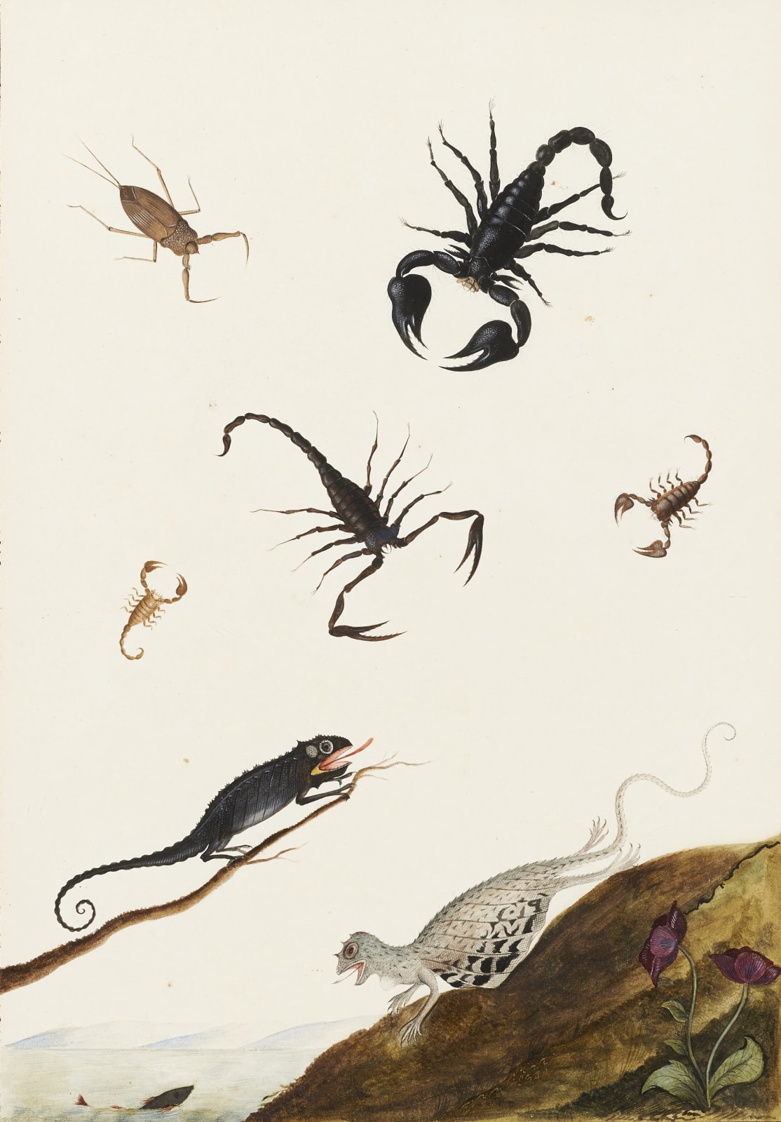 NICOLAAS STRUYCK, Lizards and crustaceans, ca. 1719