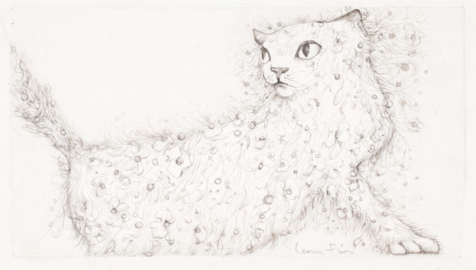 LEONOR FINI, L'Olpa