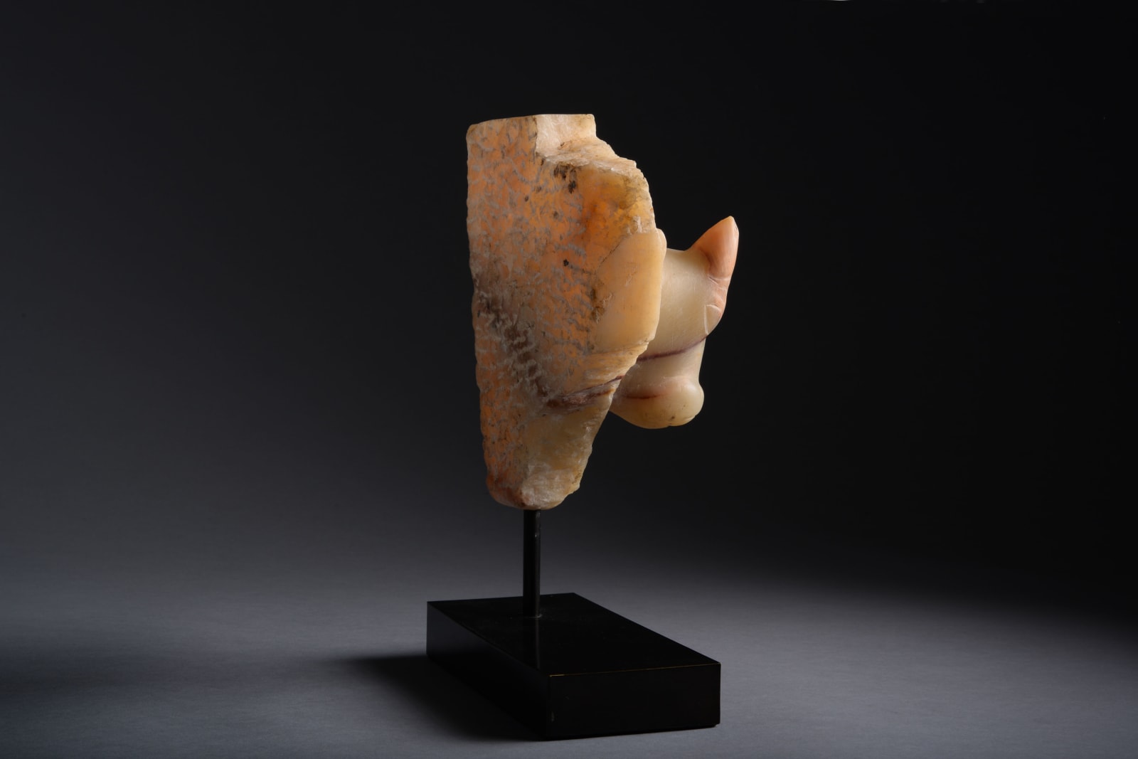 Stele Fragment with a Bull's Head, South Arabian, 1st century B.C. - 1st century A.D.