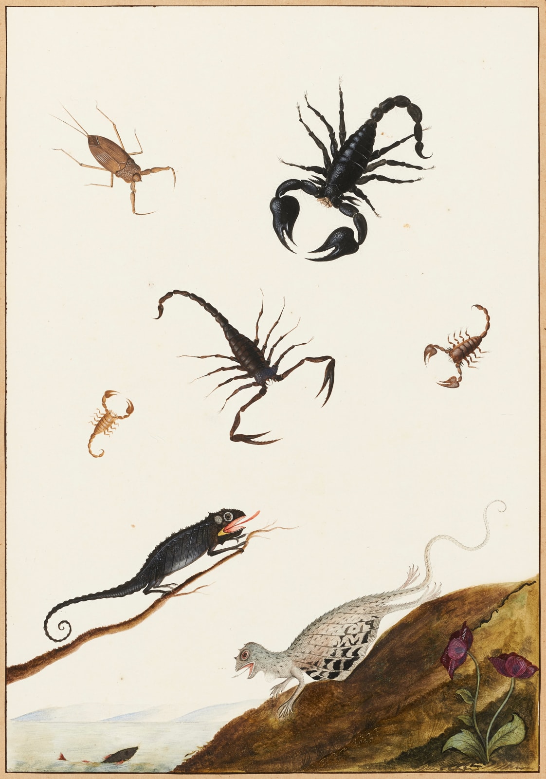 NICOLAAS STRUYCK, Lizards and crustaceans, ca. 1719