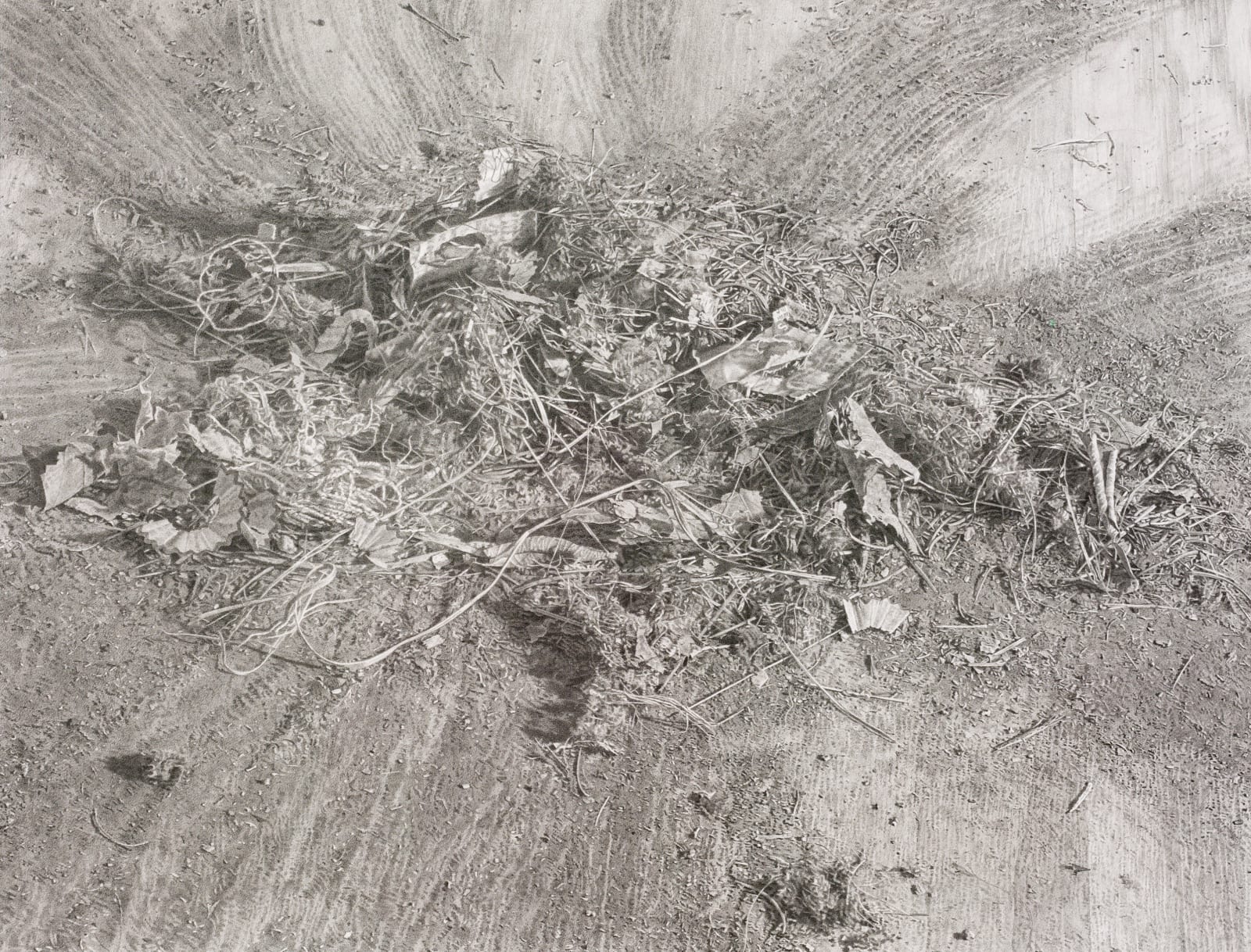 CATHERINE MURPHY, Swept up, 1999