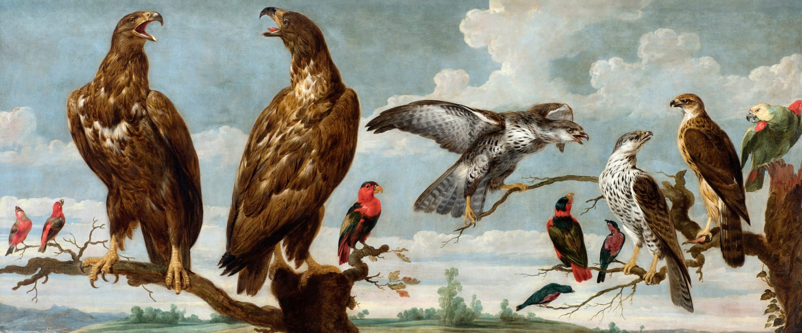 Paul De Vos Birds Of Prey Parrots And Songbirds Colnaghi1760 He said the numbers of birds of prey has risen astronomically across great britain and northern ireland. paul de vos birds of prey parrots and