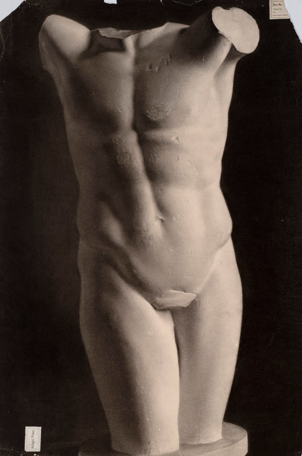 E. Bergh, Study of a plaster cast of an antique torso, 1894