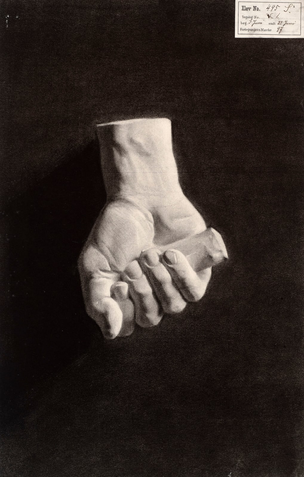 E. Bergh, Study of a plaster cast of a clenched fist