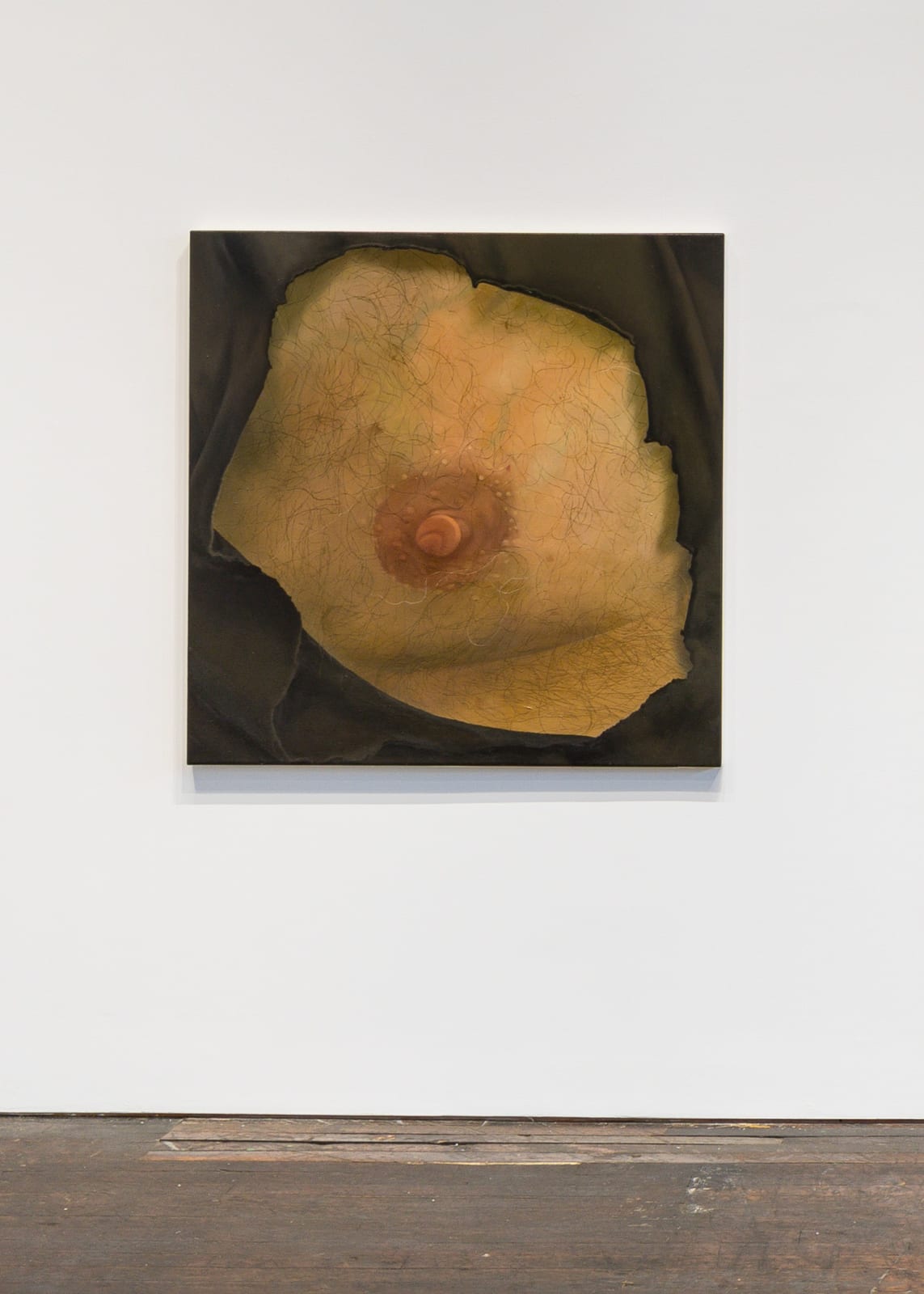 CATHERINE MURPHY, Harry's Nipple, 2003