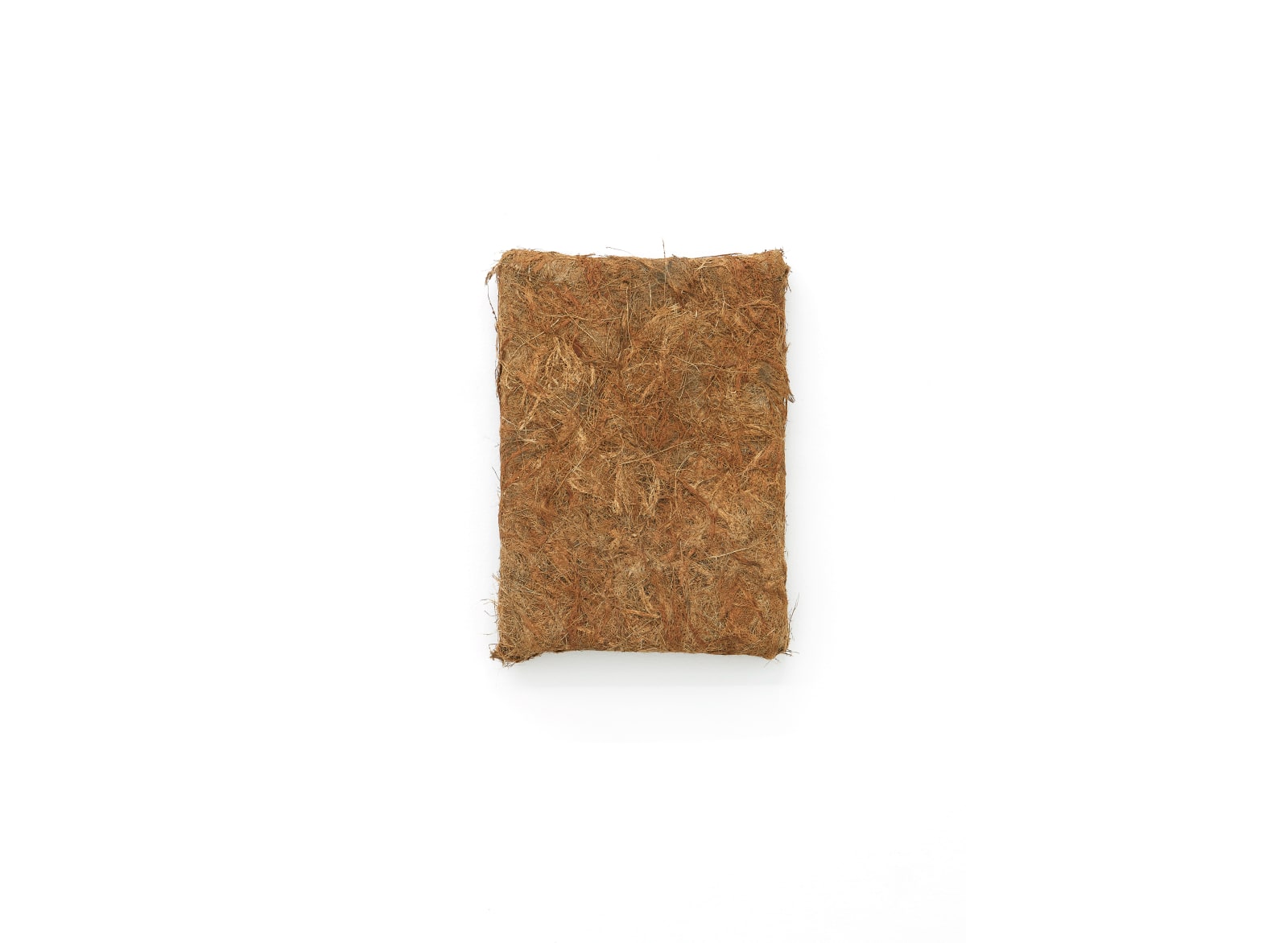 JD Reforma, Husk 1, 2021