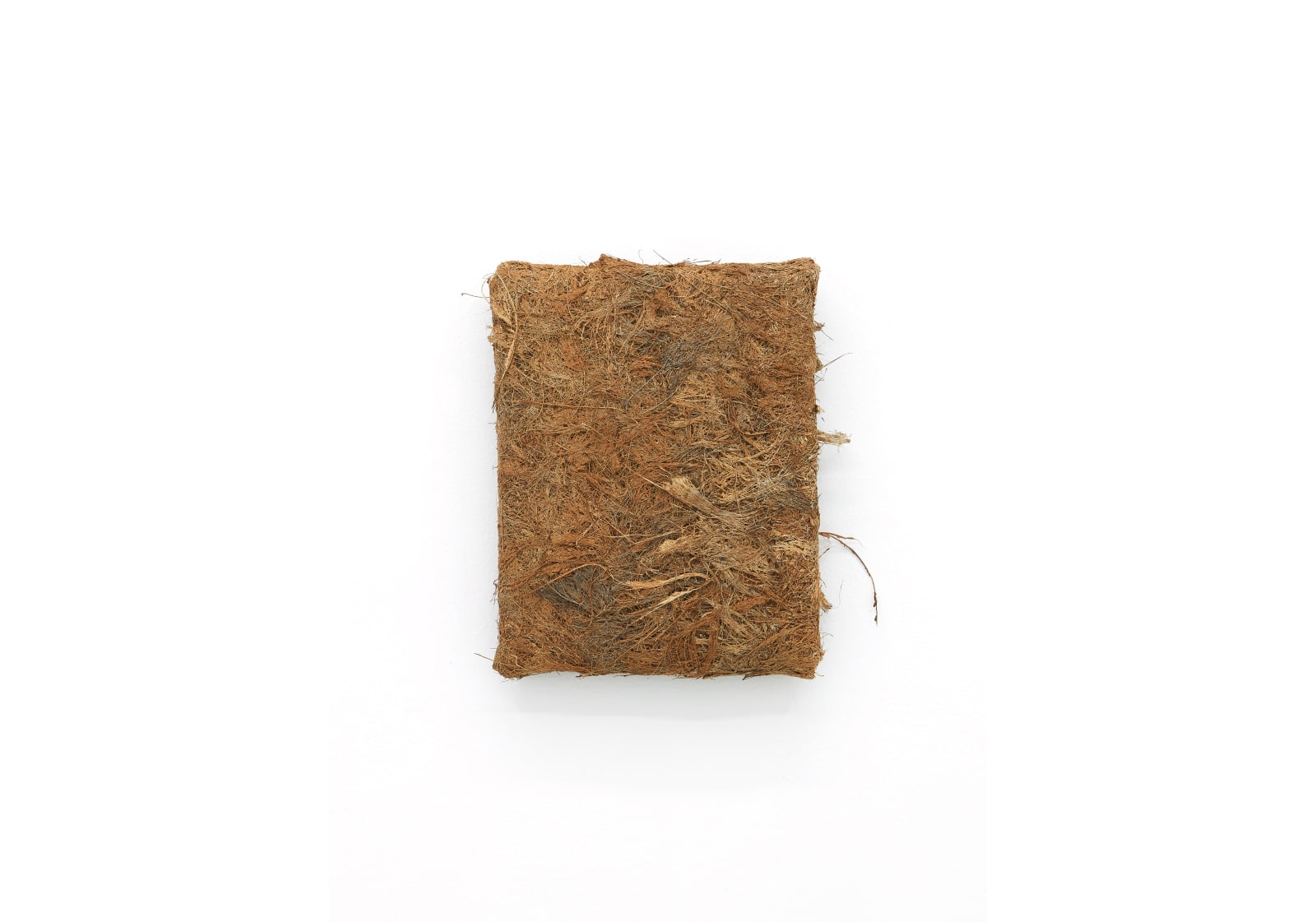 JD Reforma, Husk 4, 2021