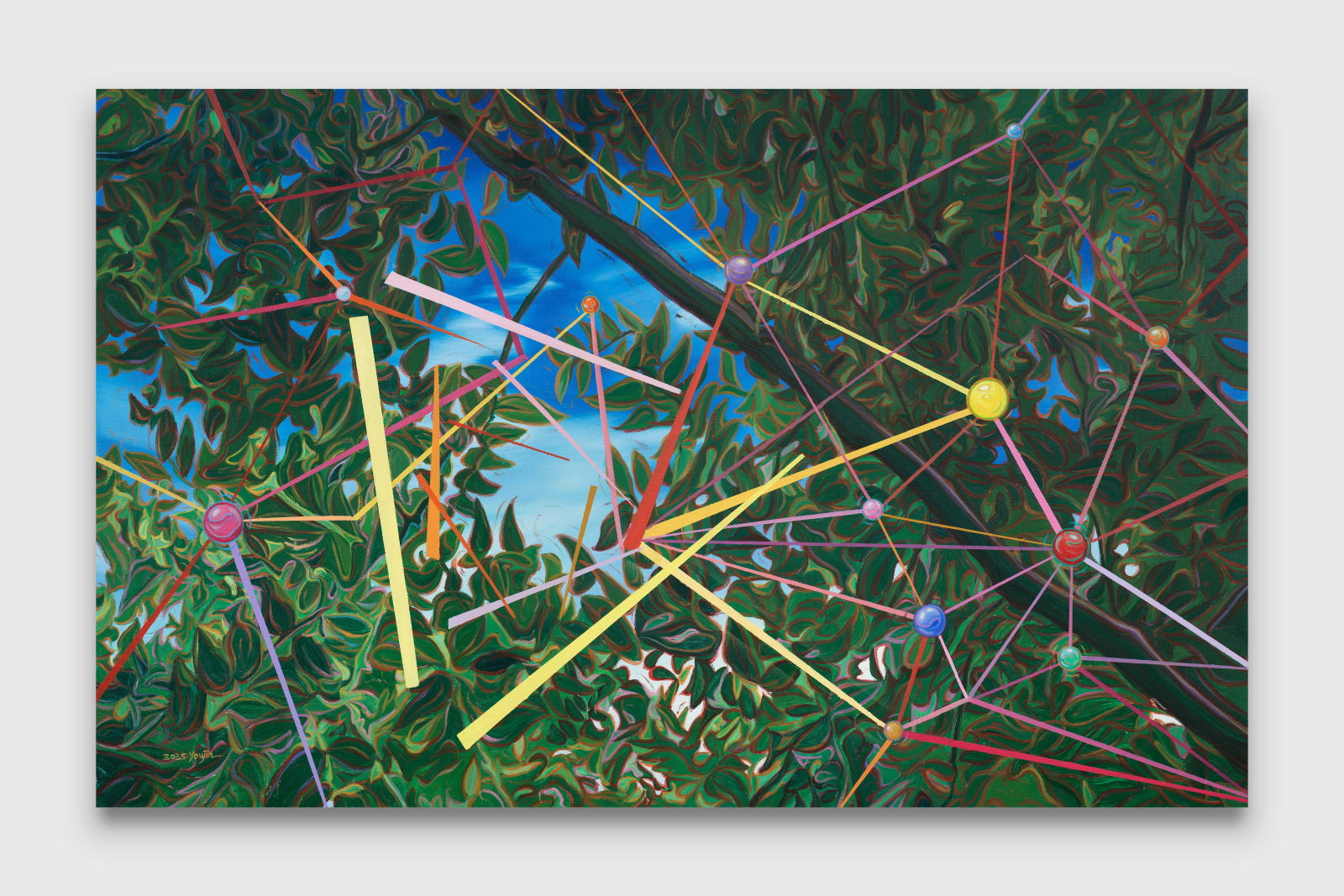 You Jin, In between nature and algorithms, 2025