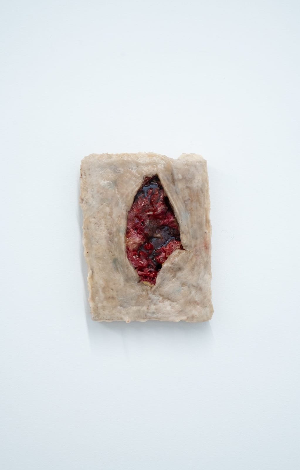 Anat Homm, Vulgär, 2023