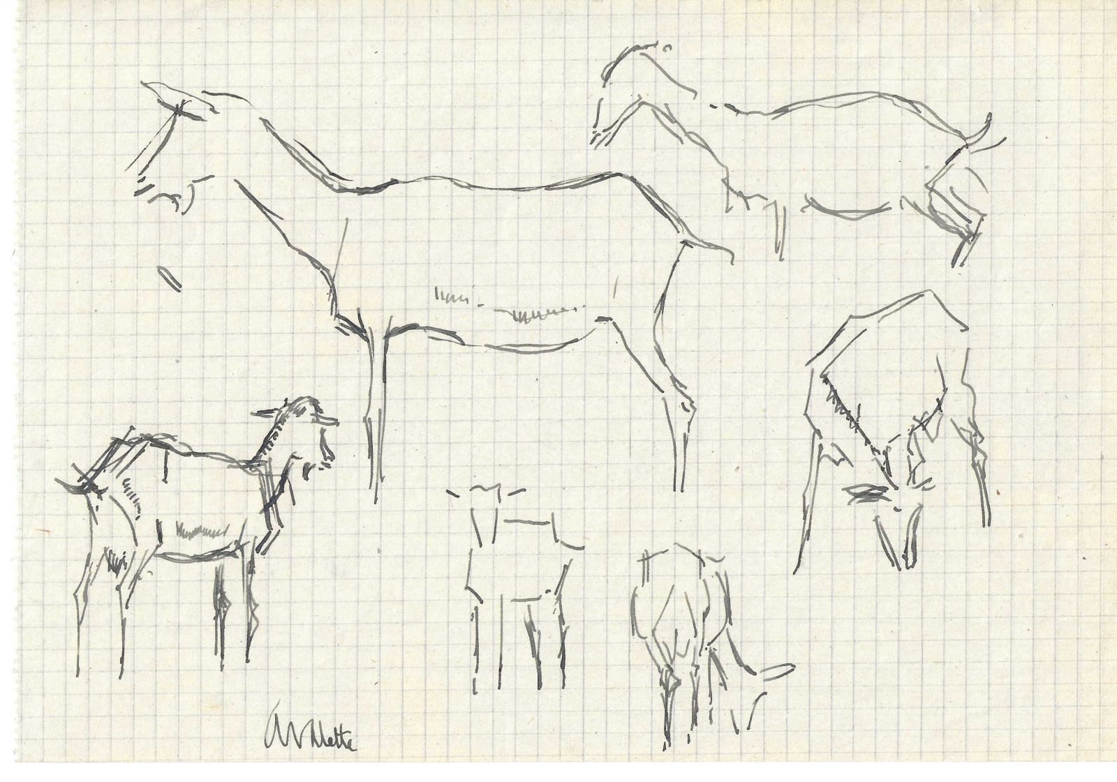 Pierre Adolphe Valette, Goats 2