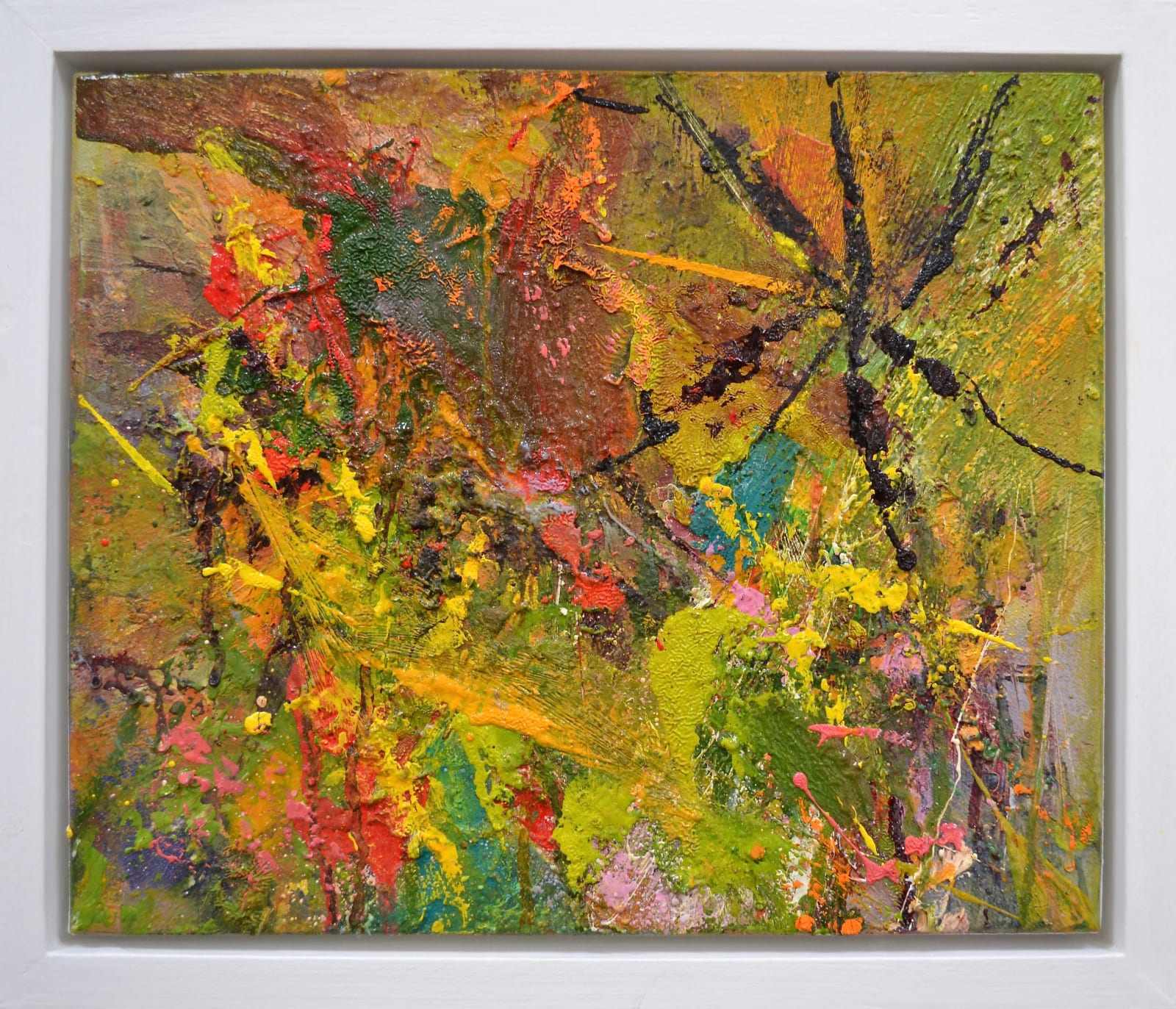 Matthew Bourne, Garden Border, Dhalias