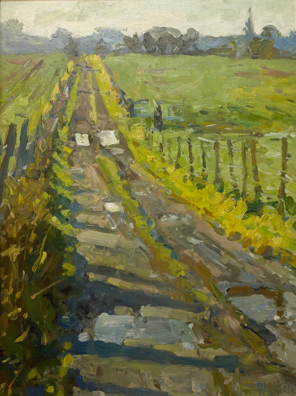 Adam Ralston ROI, Morning Sun