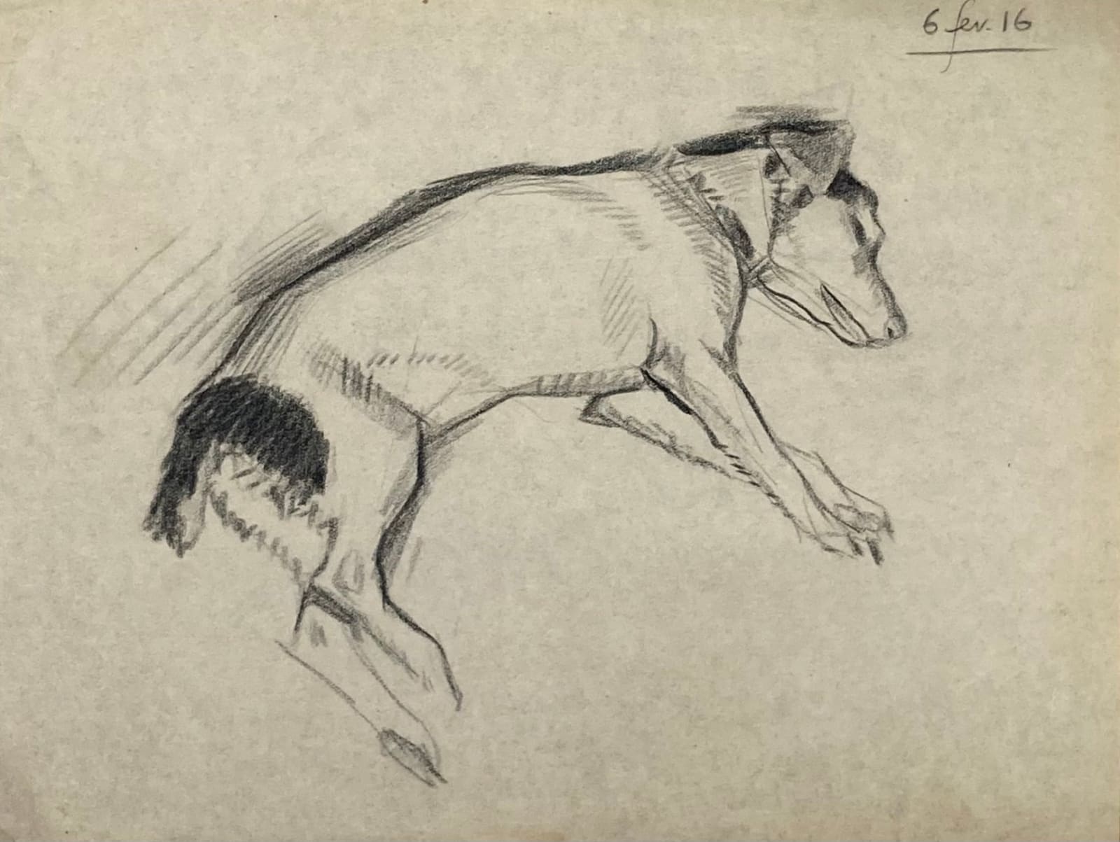 Pierre Adolphe Valette, Cora the Artist's Dog 1, 1916