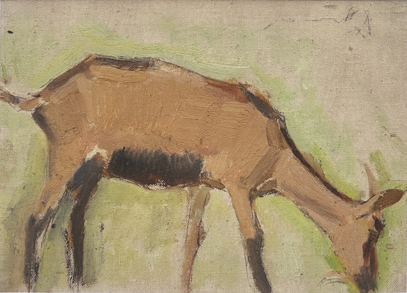 Pierre Adolphe Valette, Goat 6