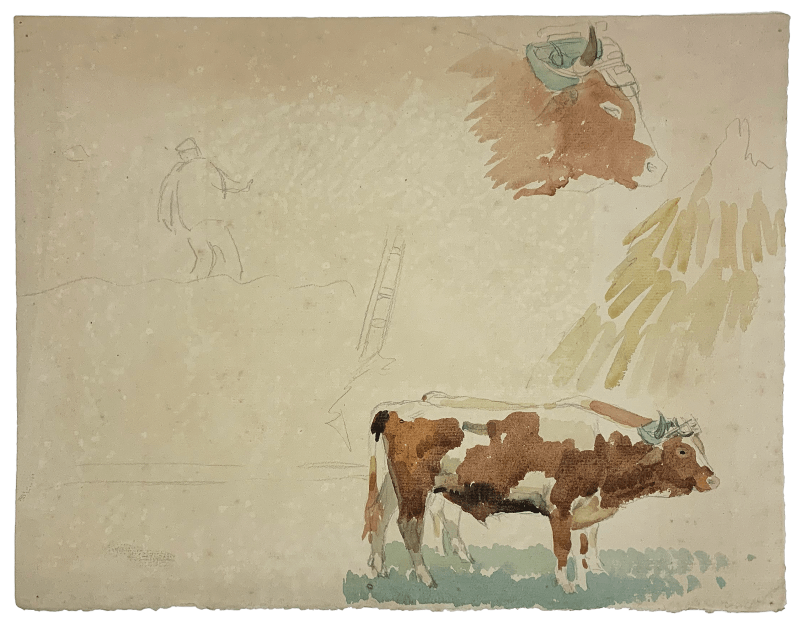 Pierre Adolphe Valette, Working Bull