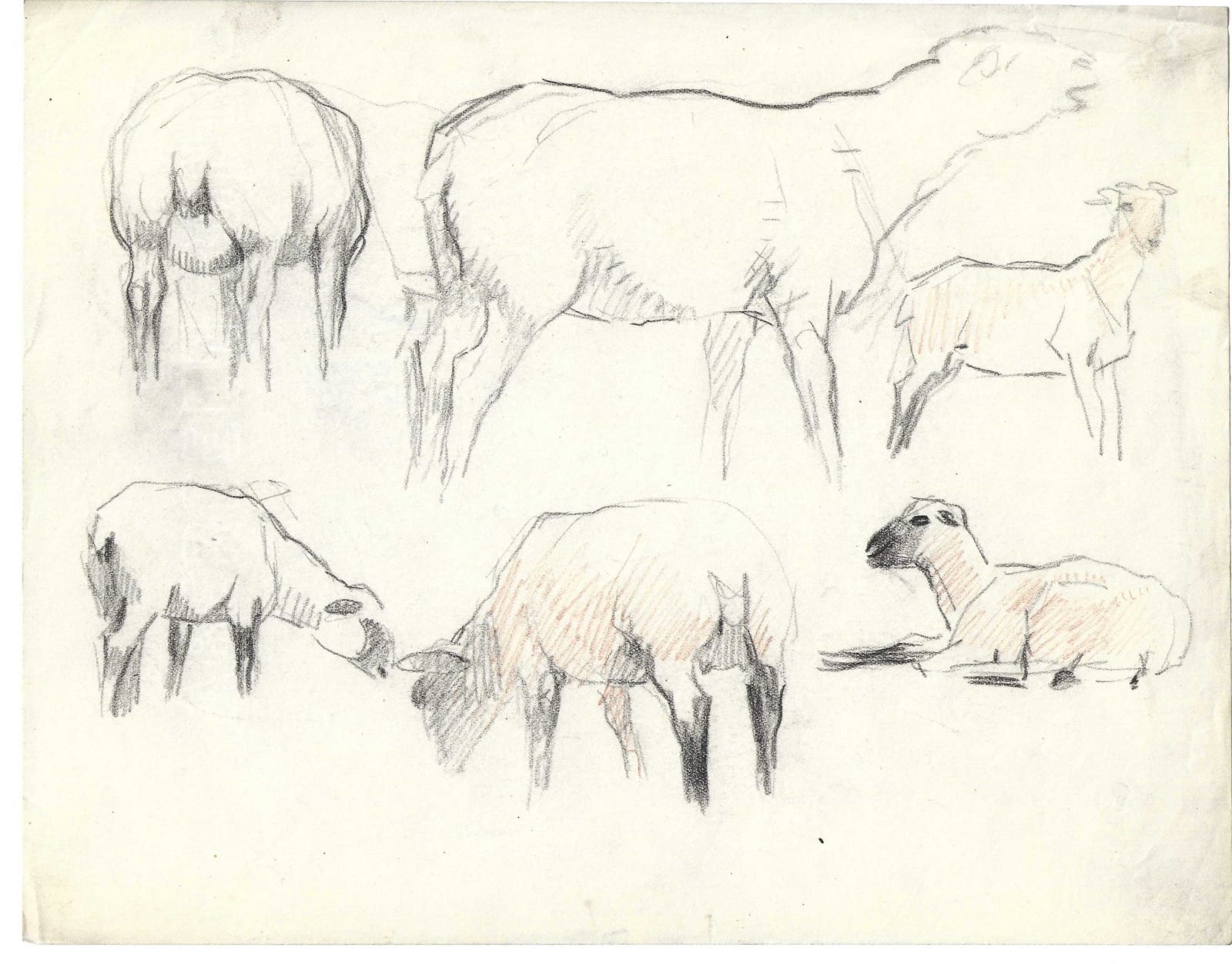 Pierre Adolphe Valette, Sheep and Goat