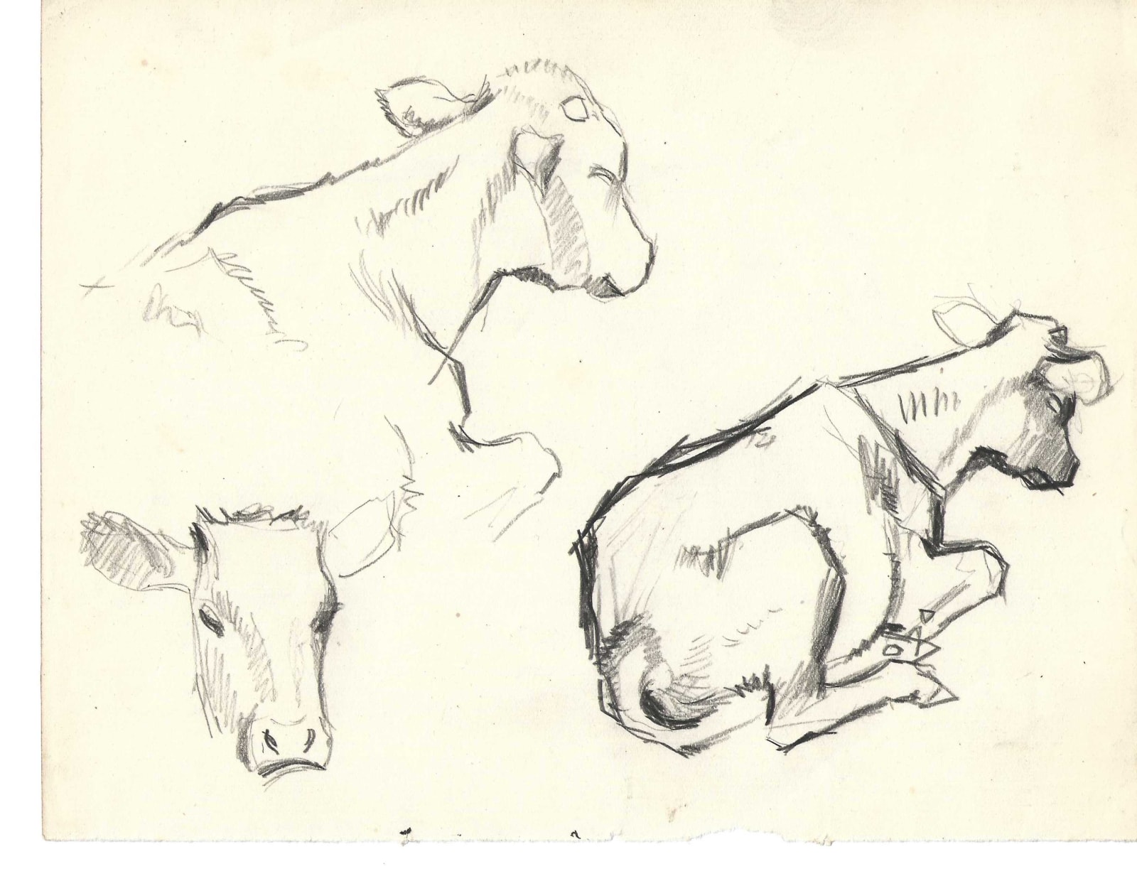 Pierre Adolphe Valette, Resting Cows 3