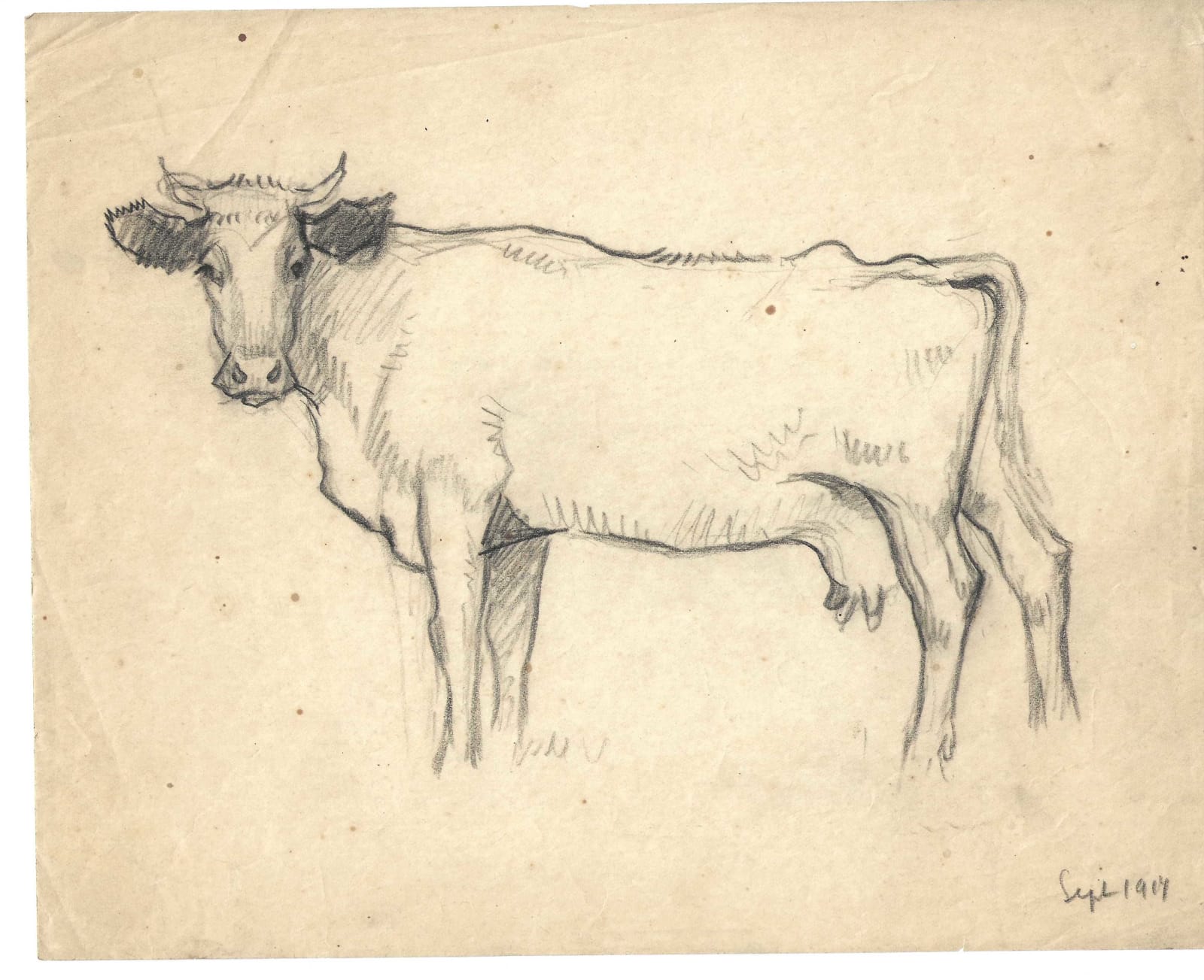 Pierre Adolphe Valette, Cow 1, 1917