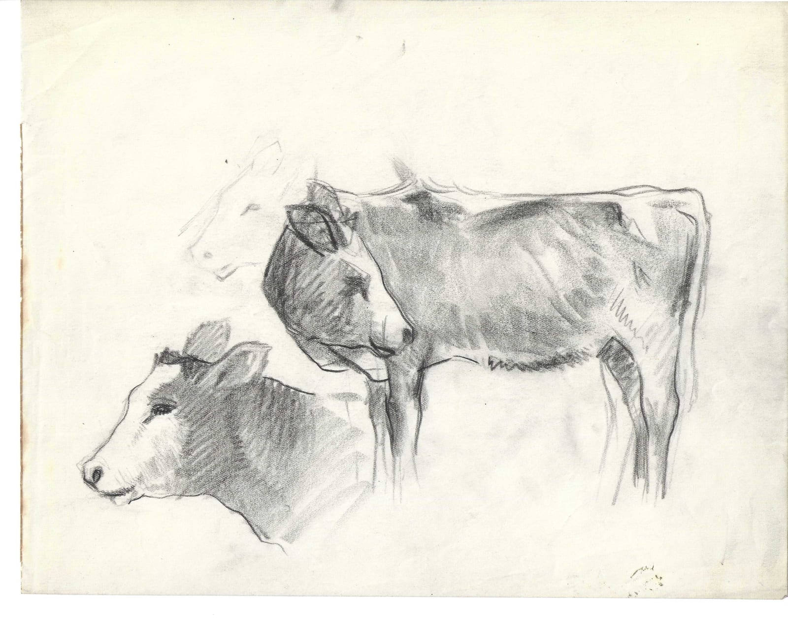 Pierre Adolphe Valette, Calves