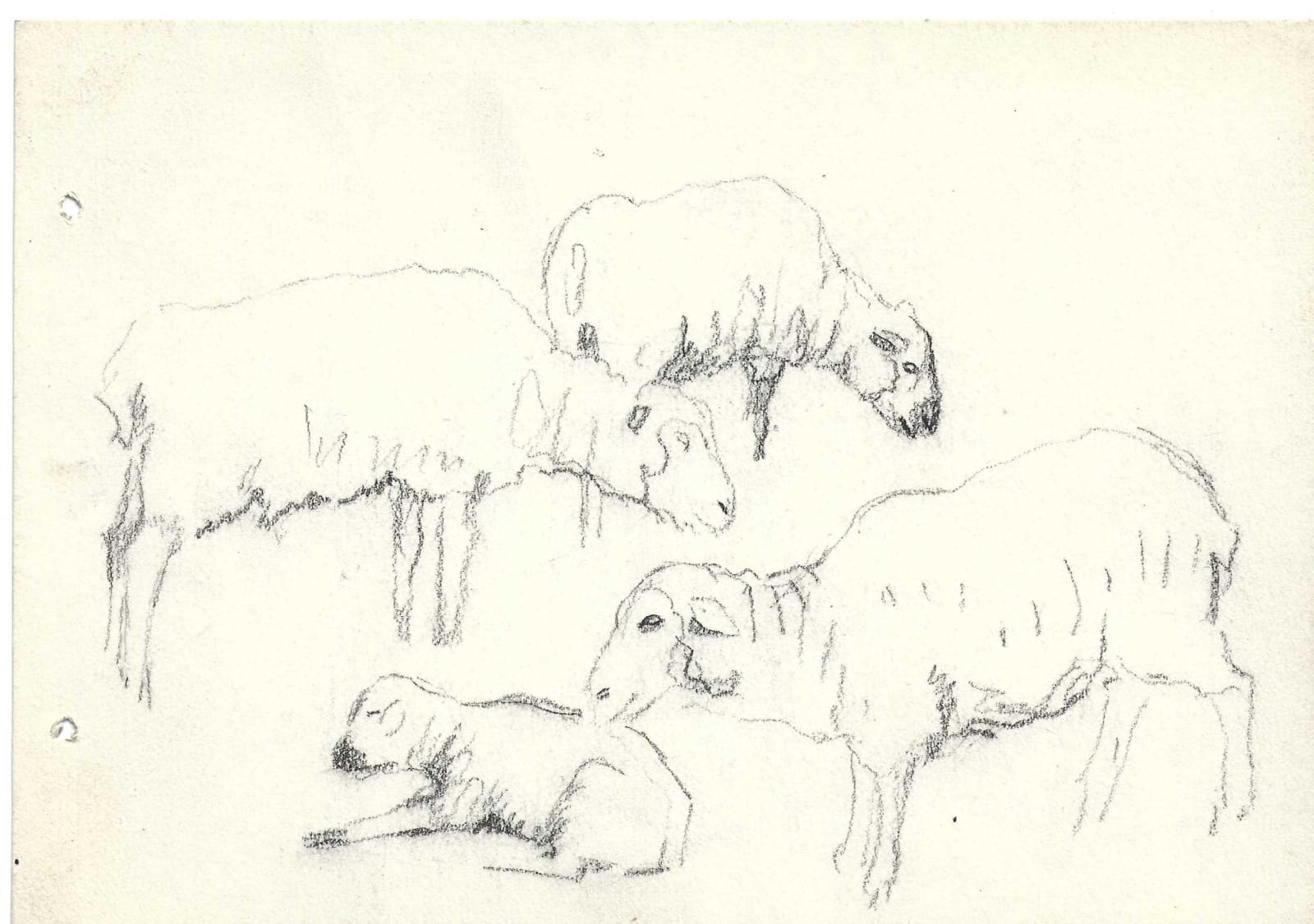 Pierre Adolphe Valette, Group of Sheep 2