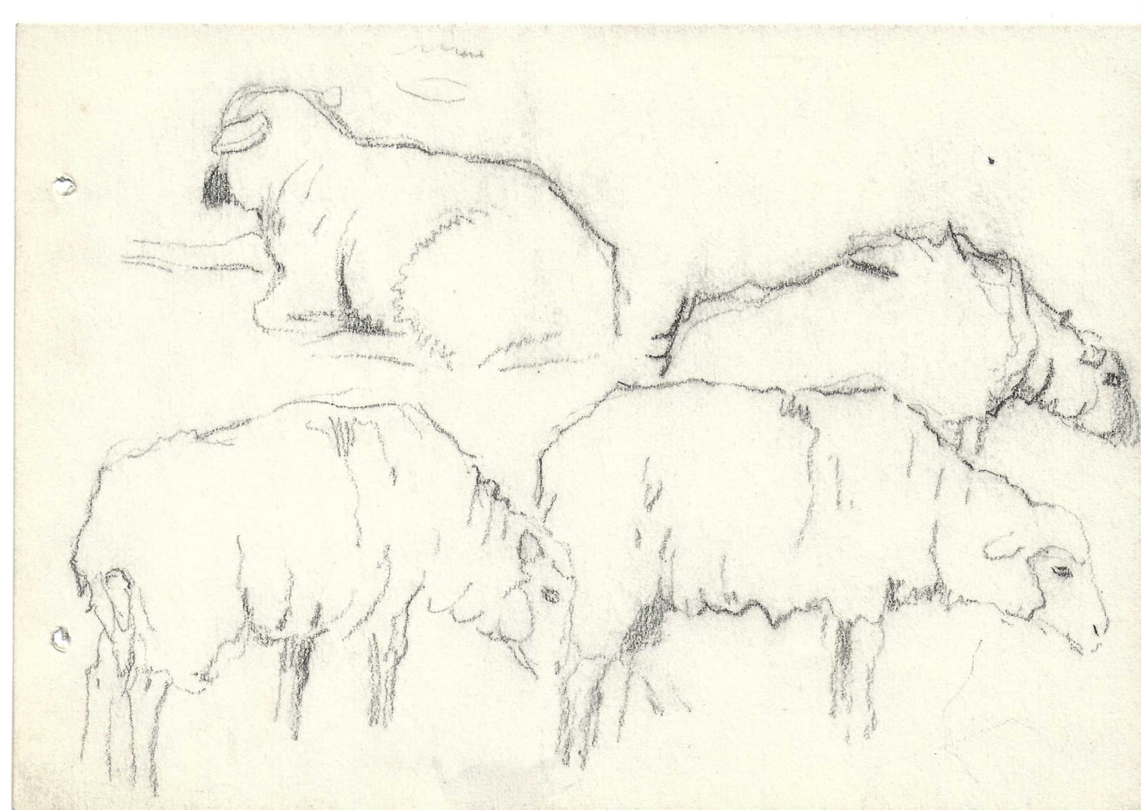 Pierre Adolphe Valette, Group of Sheep 3
