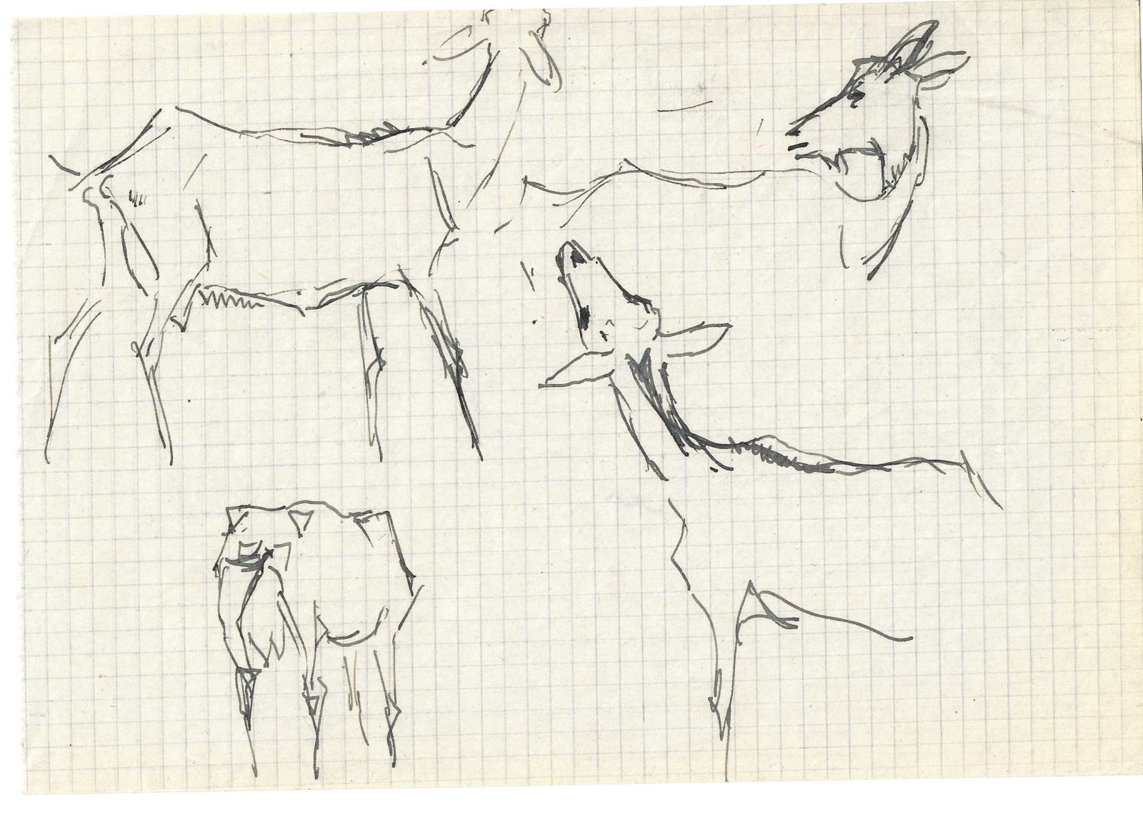 Pierre Adolphe Valette, Goats 6
