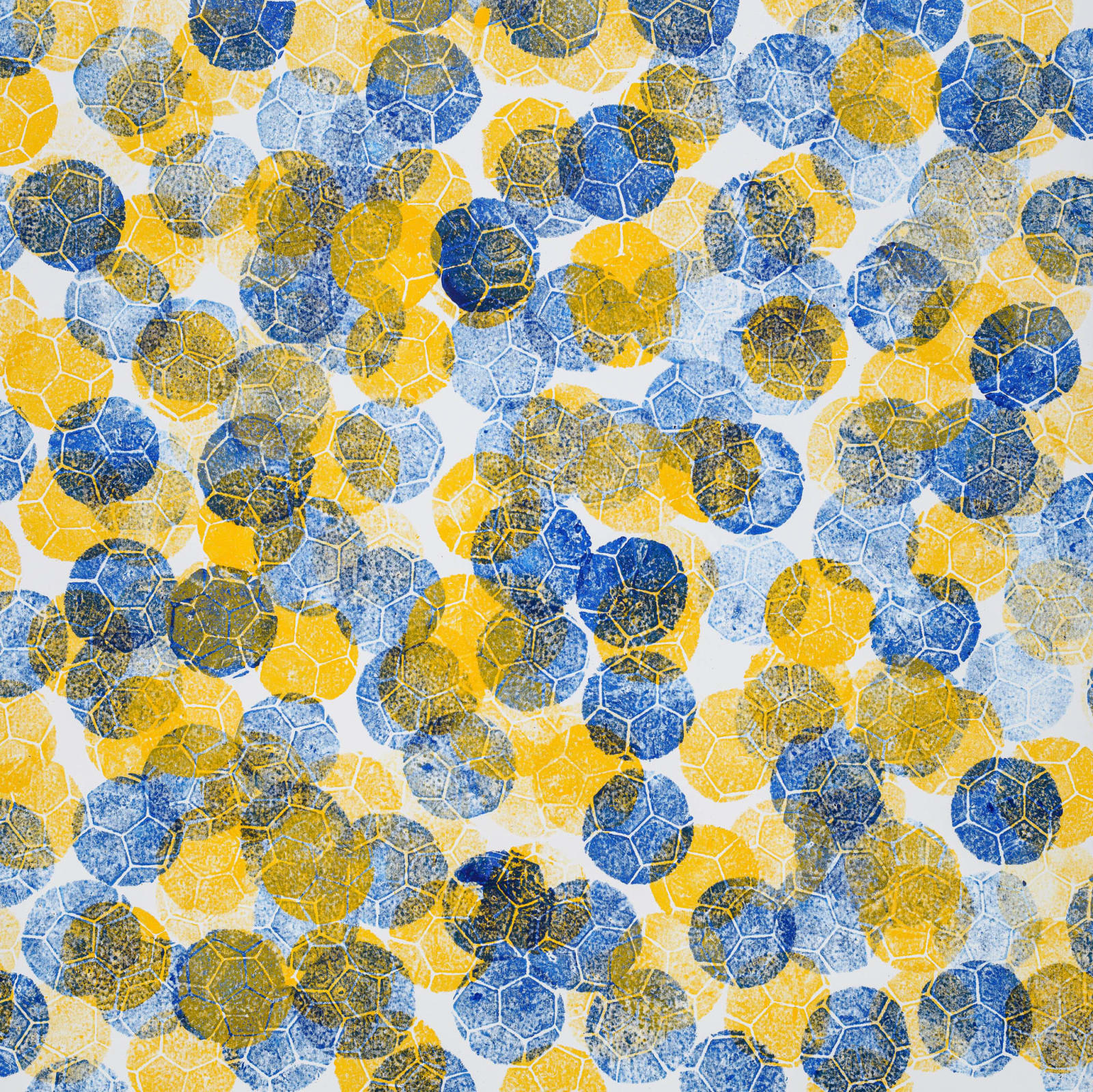 Marco Adamo, L'Arte nel Pallone a Verona, 2024