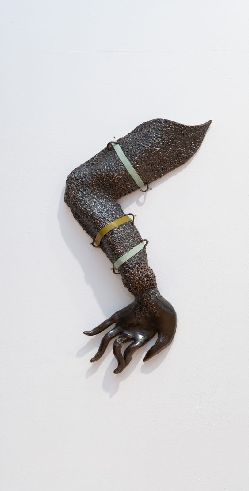Anna Perach & Anousha Payne, Dogmother's arm, 2021