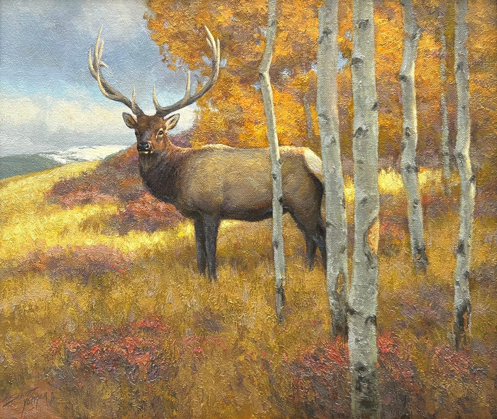 Scott Yeager, The Elk and the Aspen