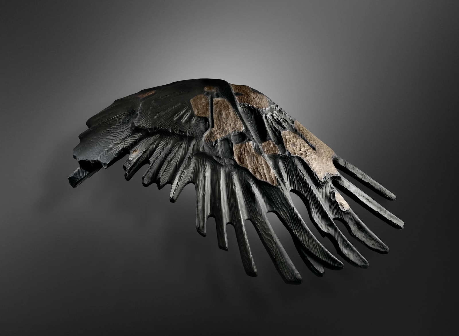 Peregrine O'Gormley, Flight (After Muybridge)