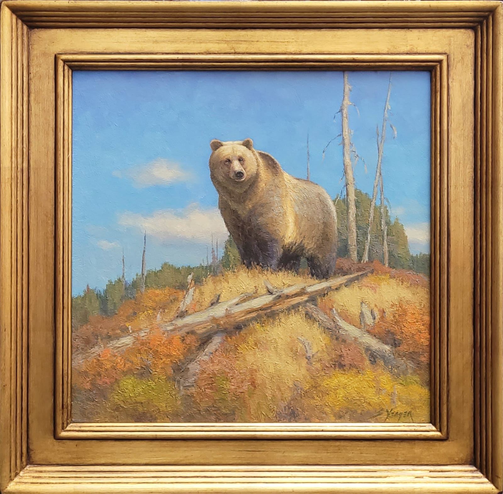 Scott Yeager, King of the Hill