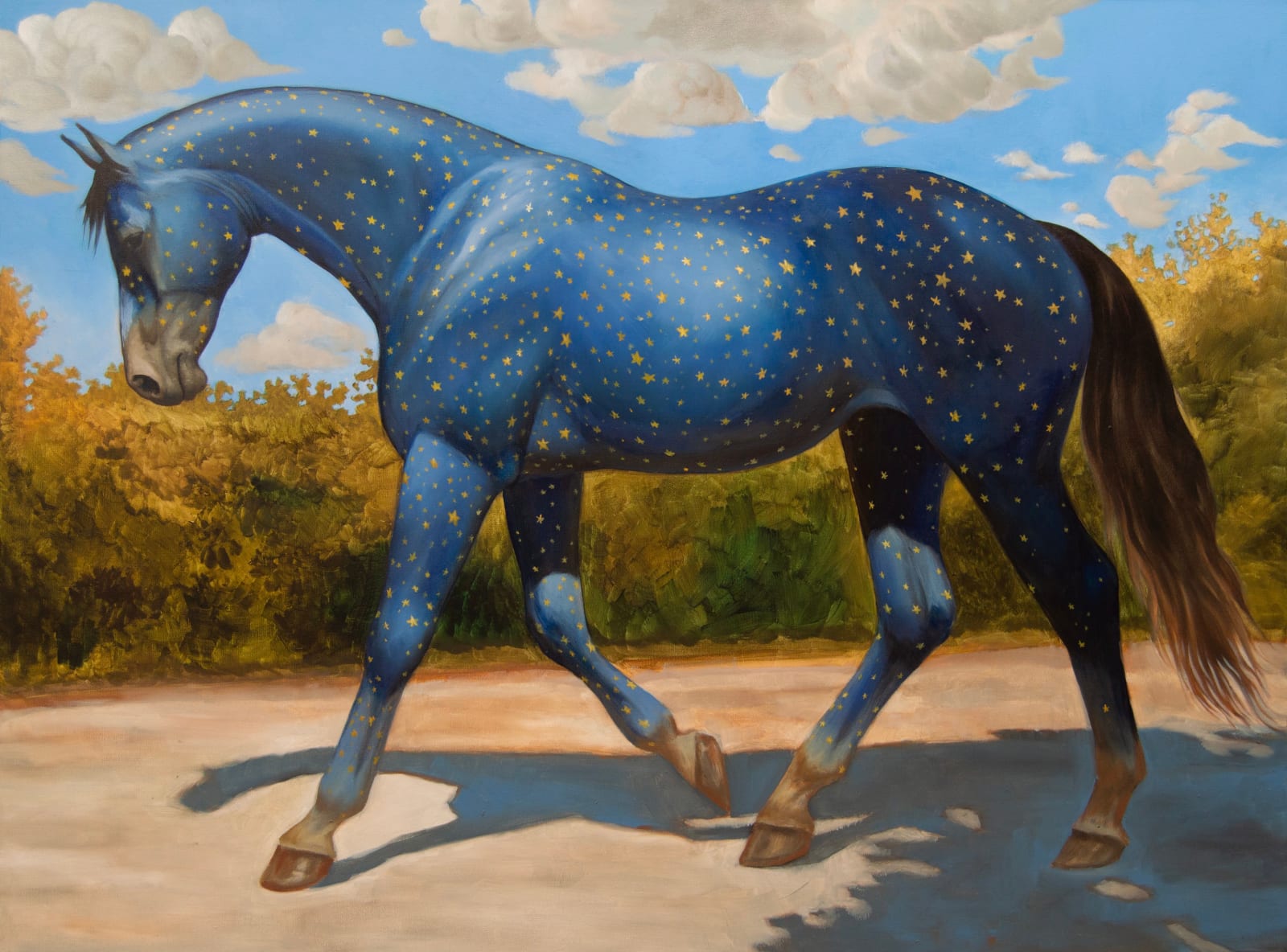 Kym Day, Cosmic Ride