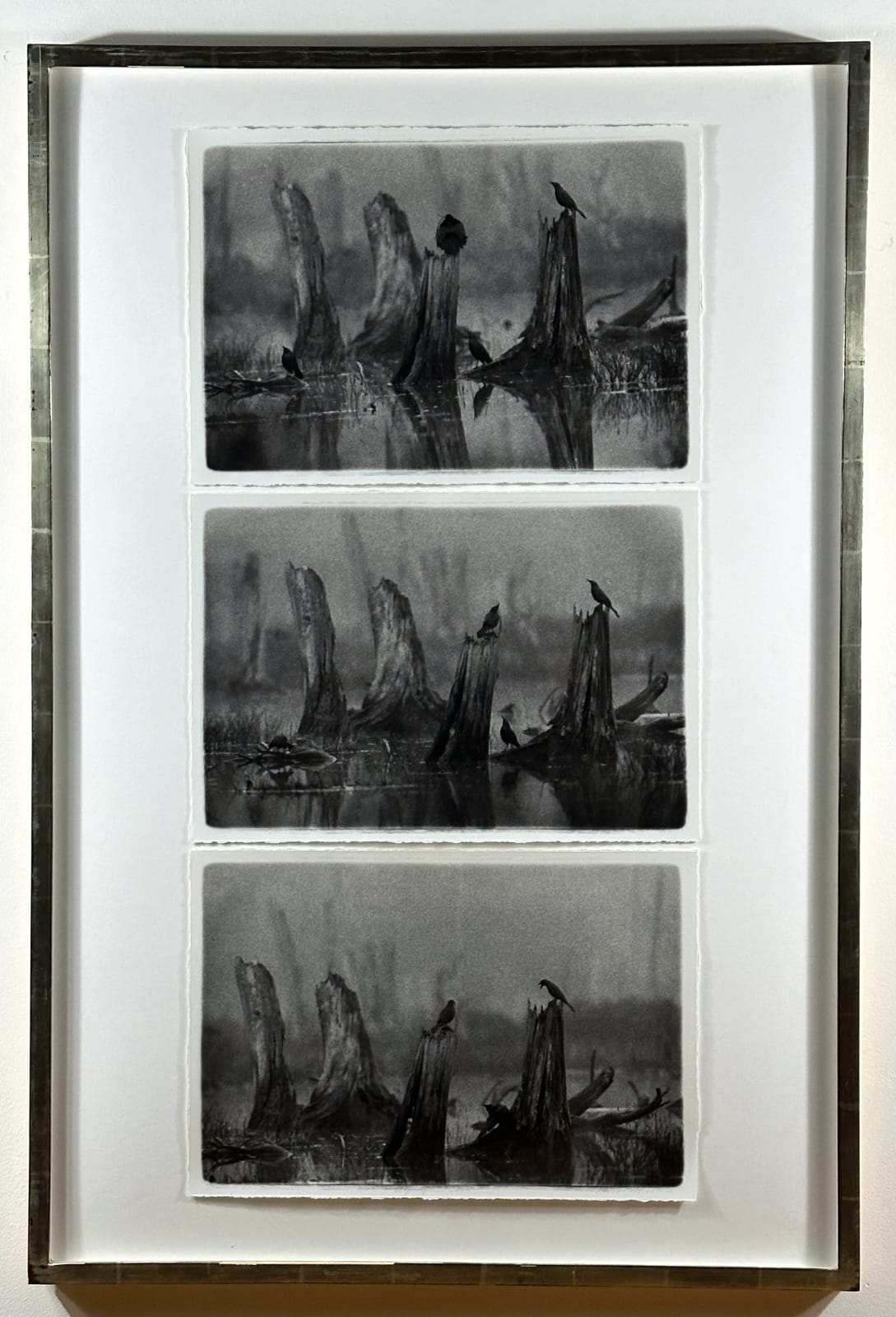 Carol Marino, Nesting Competition, Algonquin, 2000