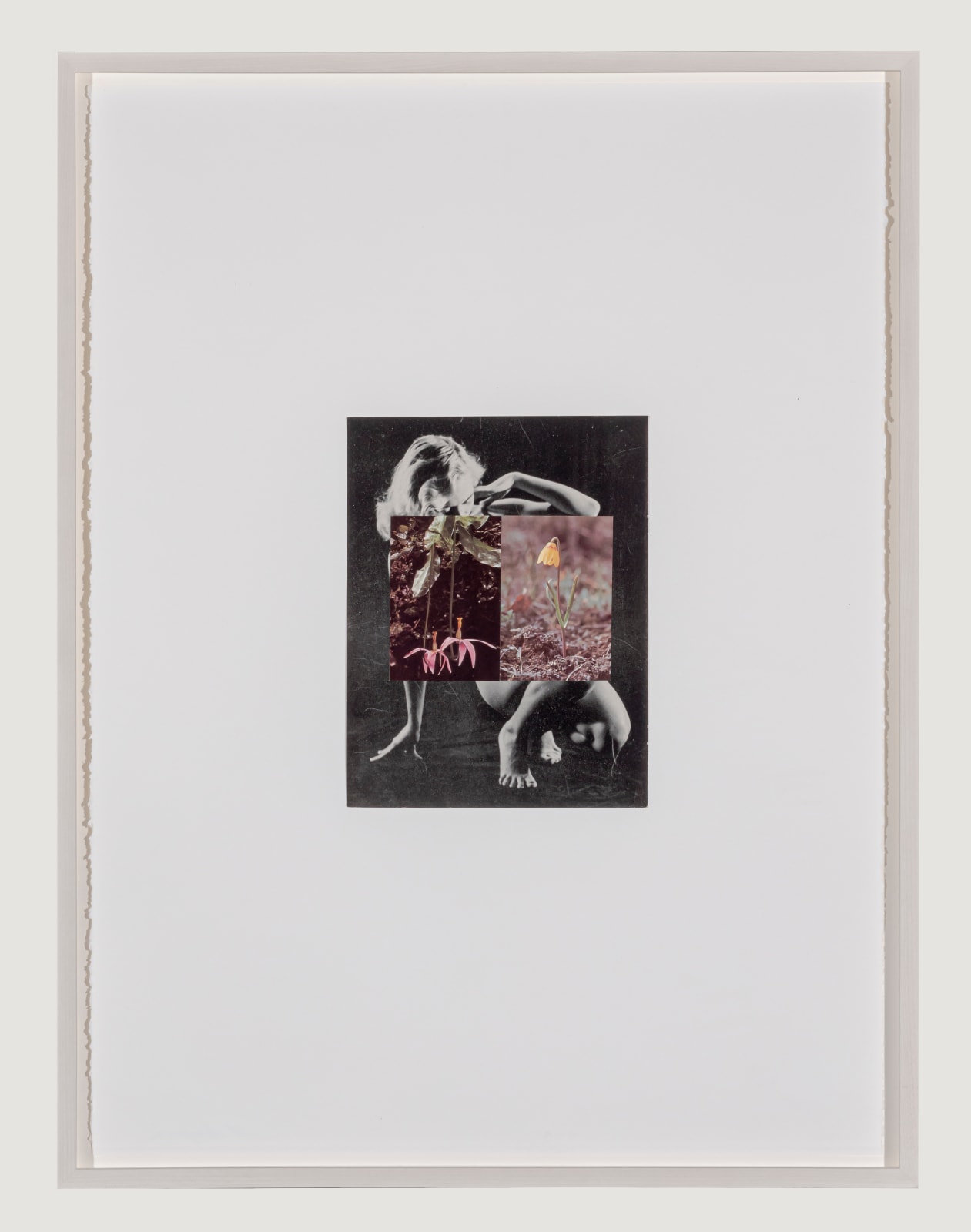 Sondra Meszaros, Pink Perch, 2021