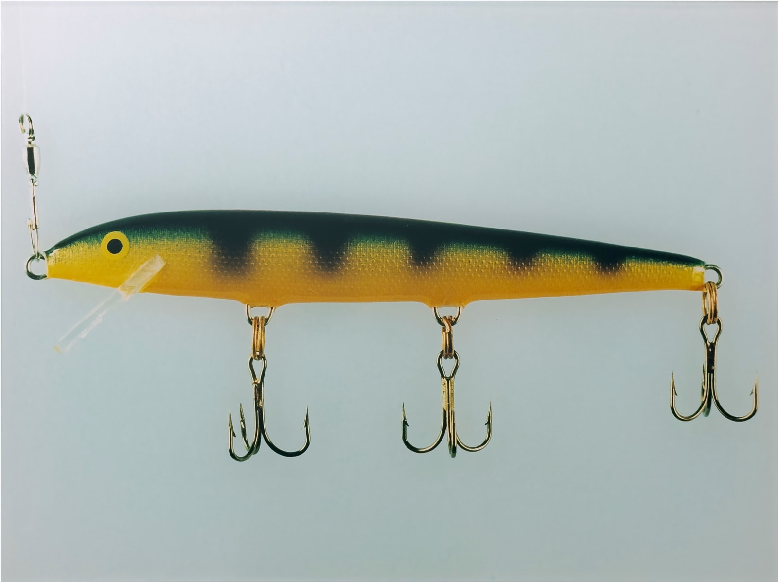 Lori Newdick, Downdeep Husky Jerk, 2001