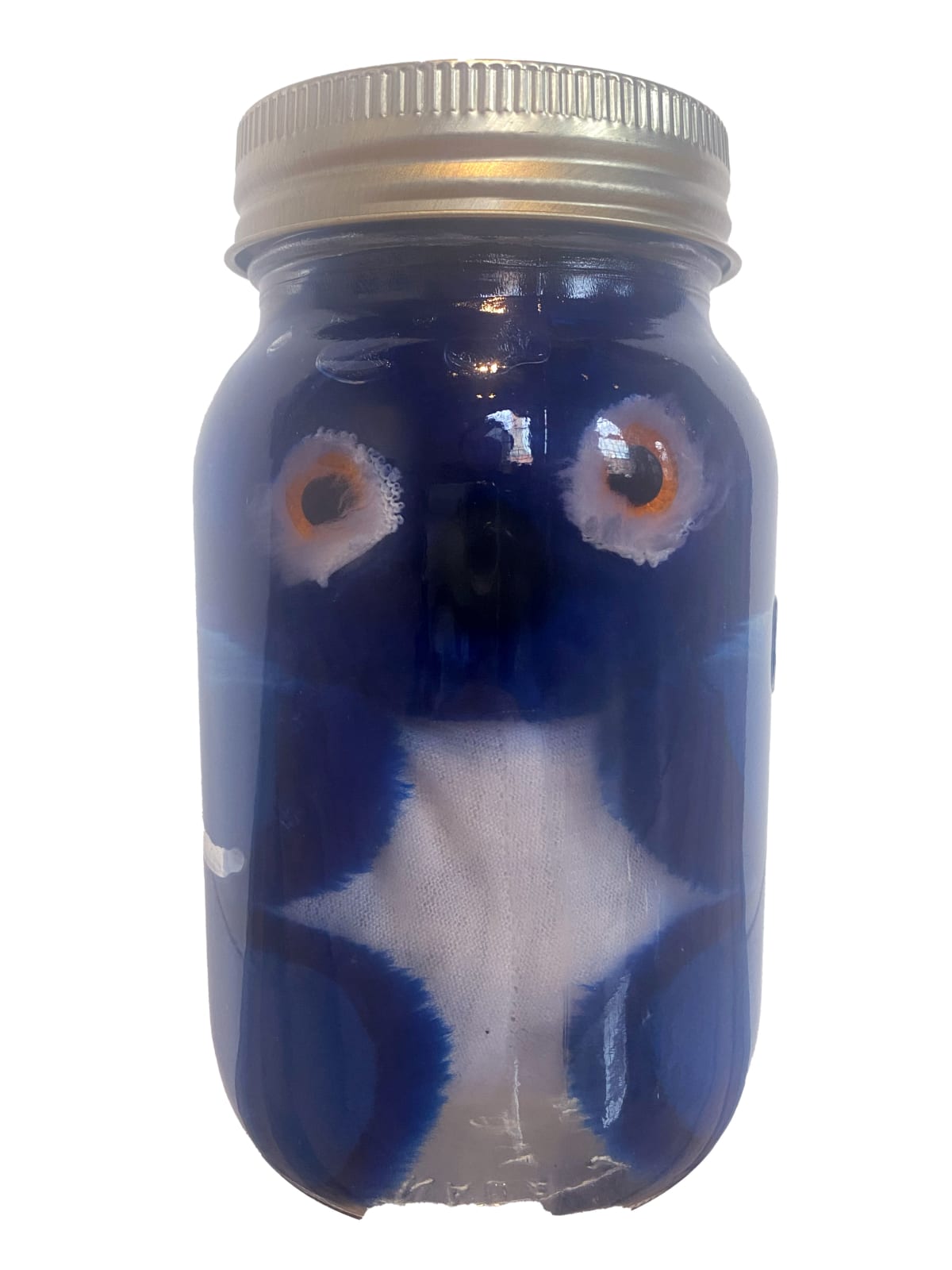 IAIN BAXTER&, Animal Preserve 10, 1999