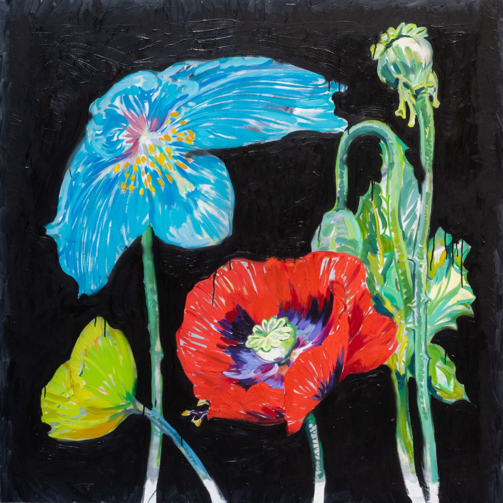Rafael Yaluff, Poppies, 2019