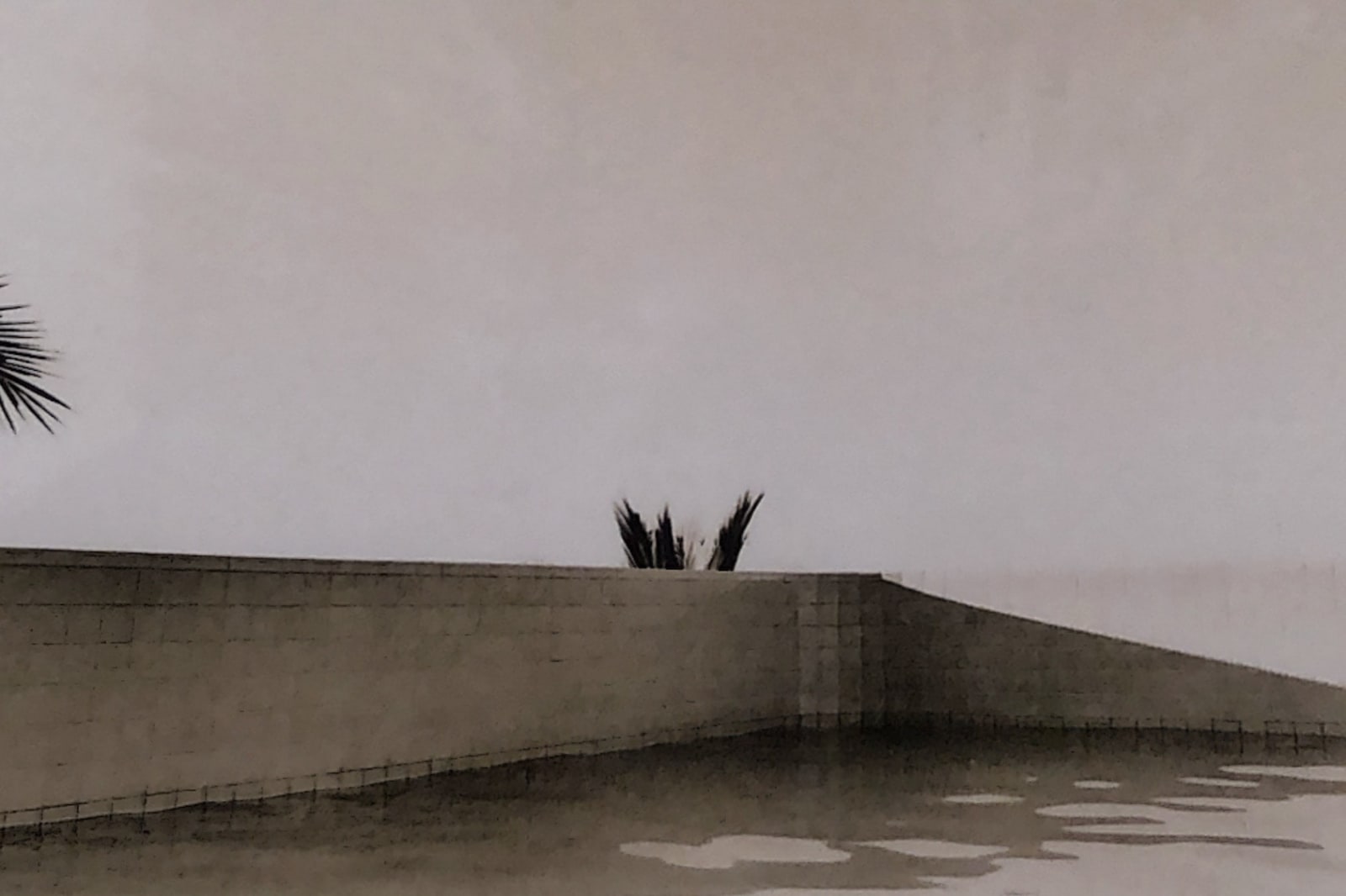 Ray van Dusen, Untitled (poolside), 1981