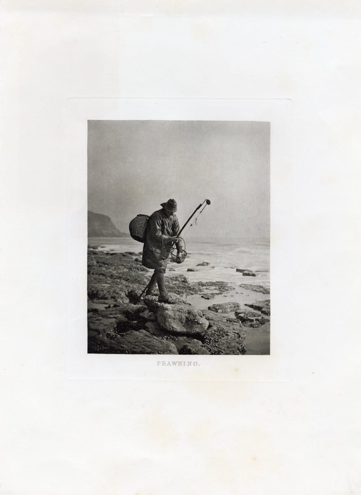 B.G Wilkinson, Prawning, 1900